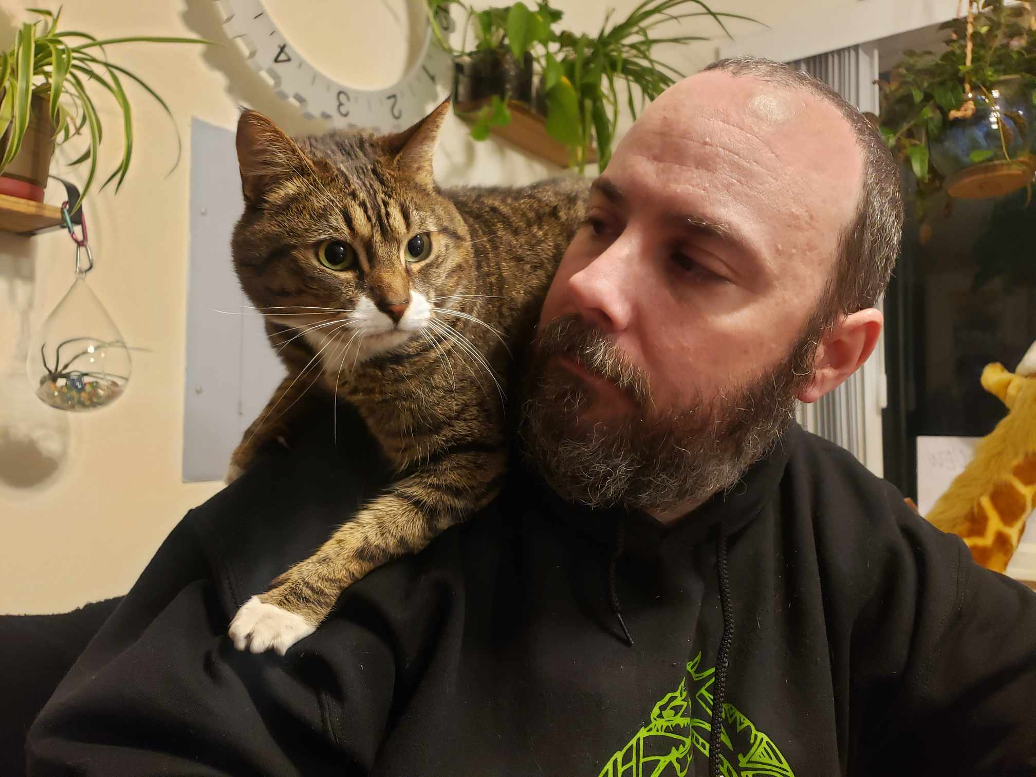 user avatar image for Nolan Bradley