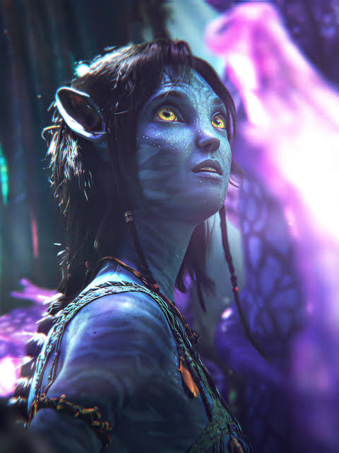 user avatar image for sol chaser