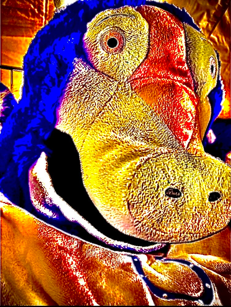 user avatar image for Parker