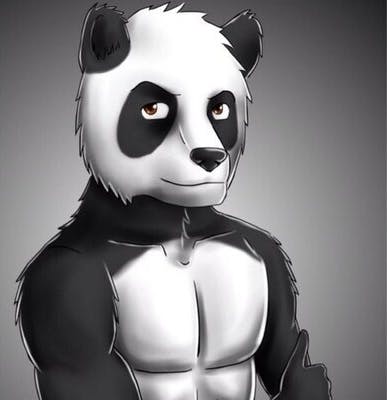 user avatar image for Panda