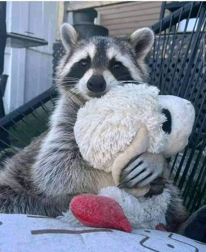 user avatar image for Madison Pollard