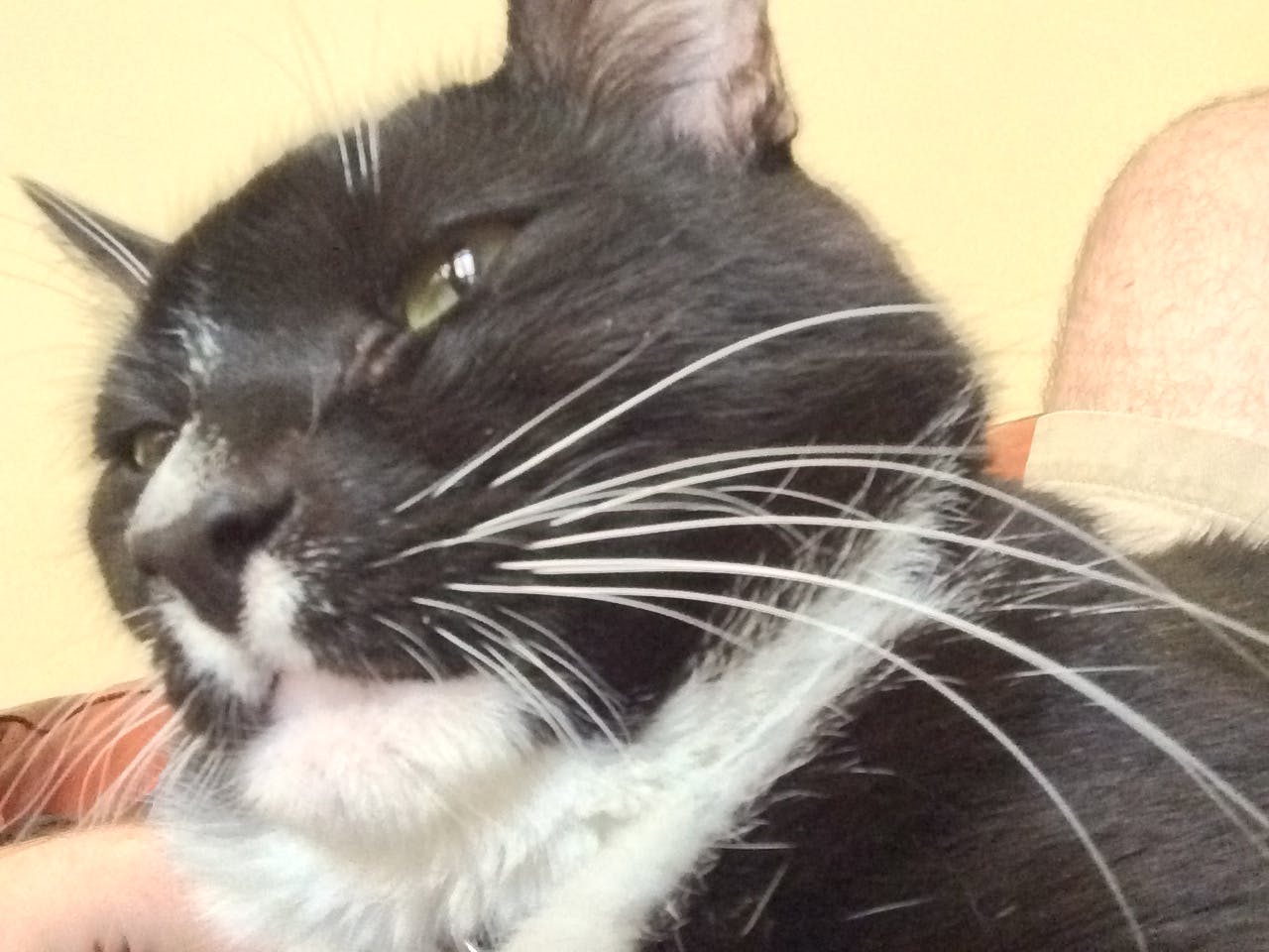 user avatar image for Max Tension