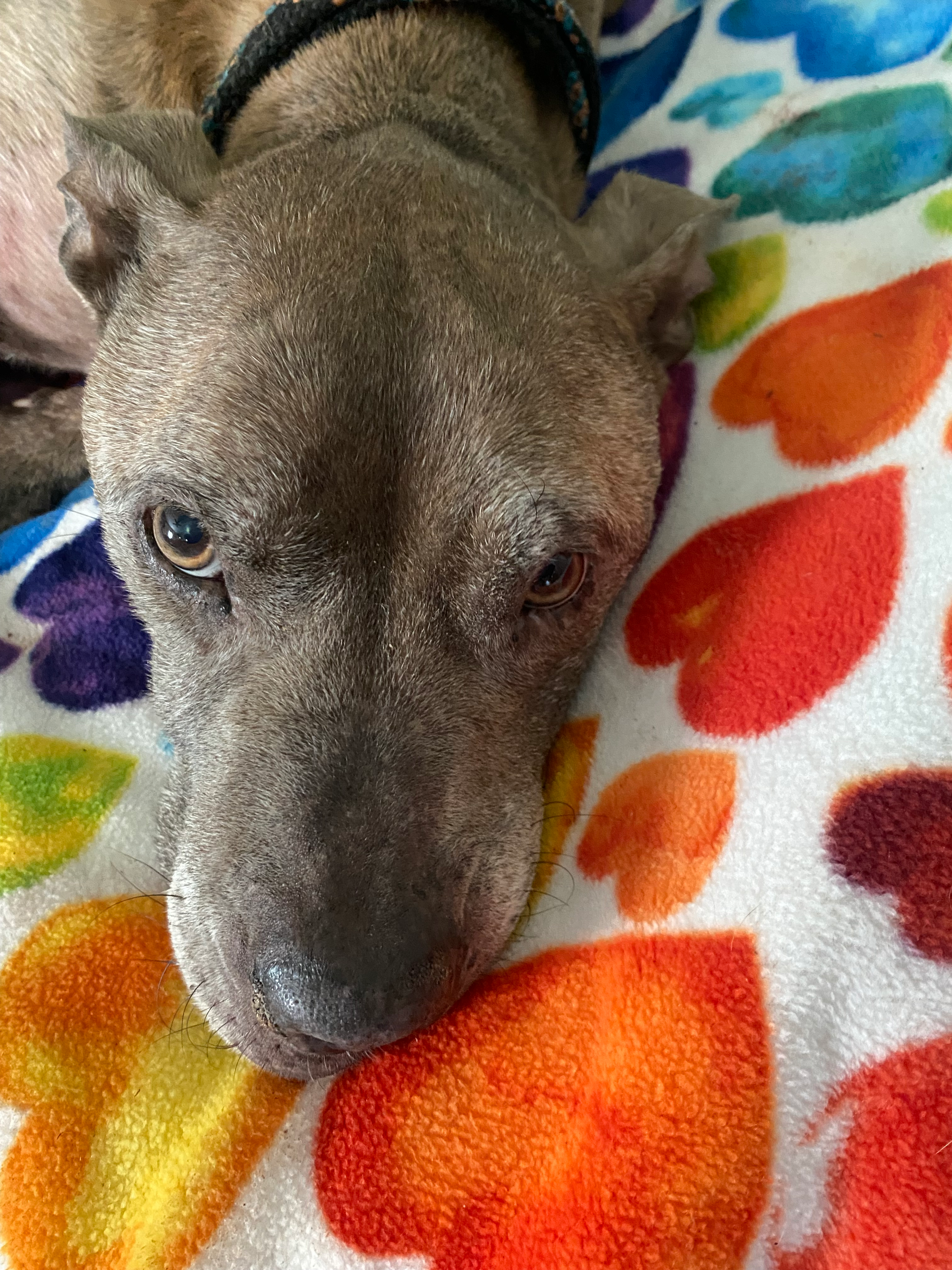 user avatar image for Dan Hopkins