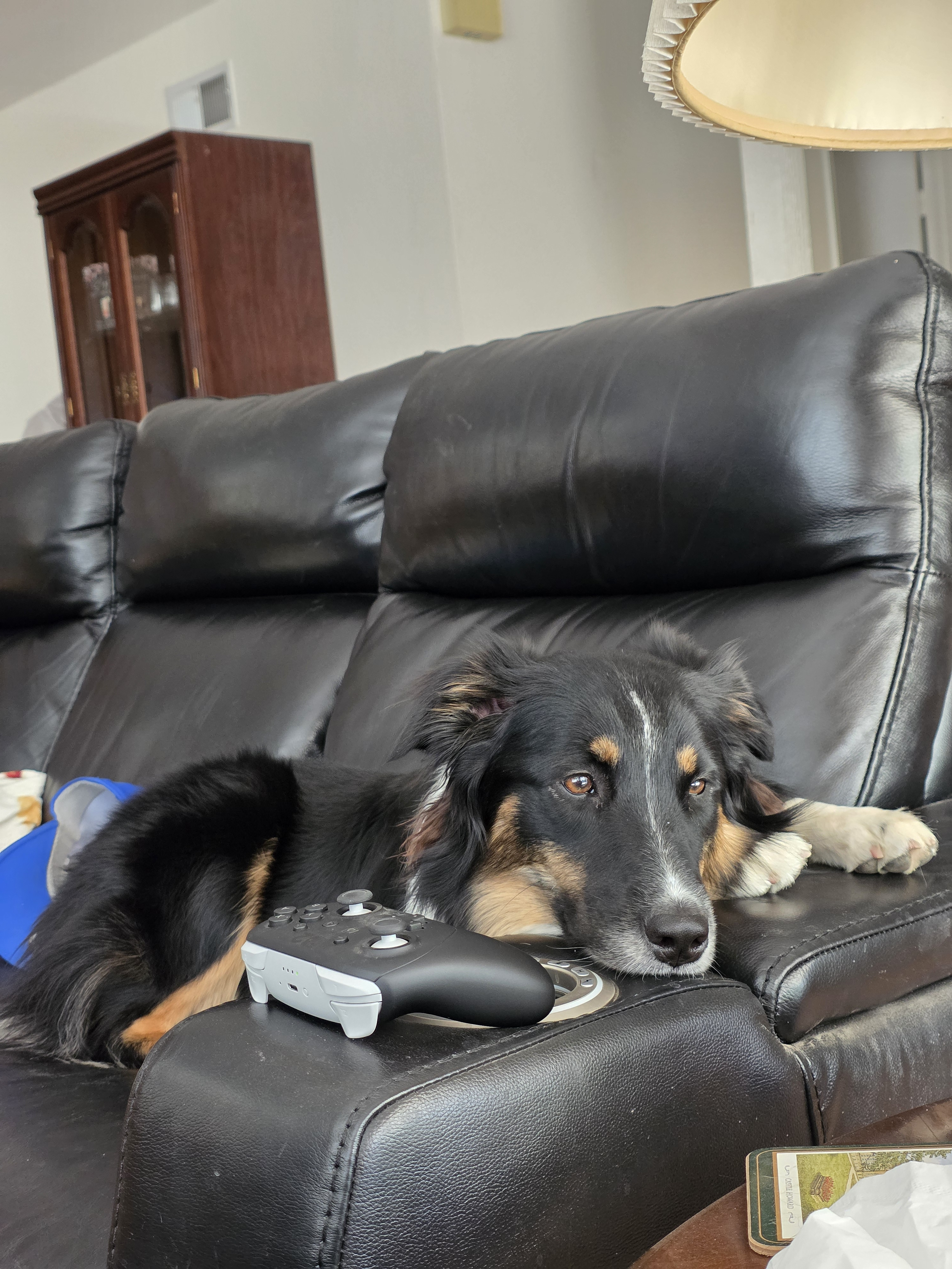 user avatar image for Shelby