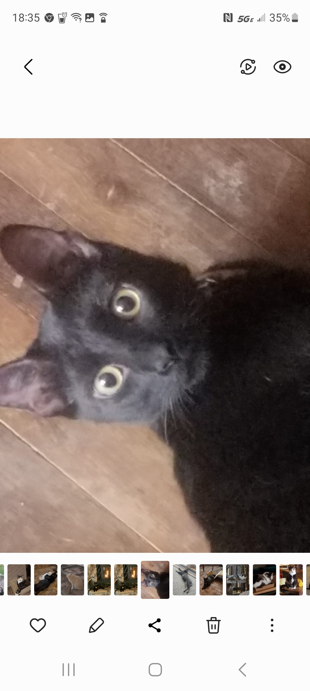 user avatar image for Hippyman 