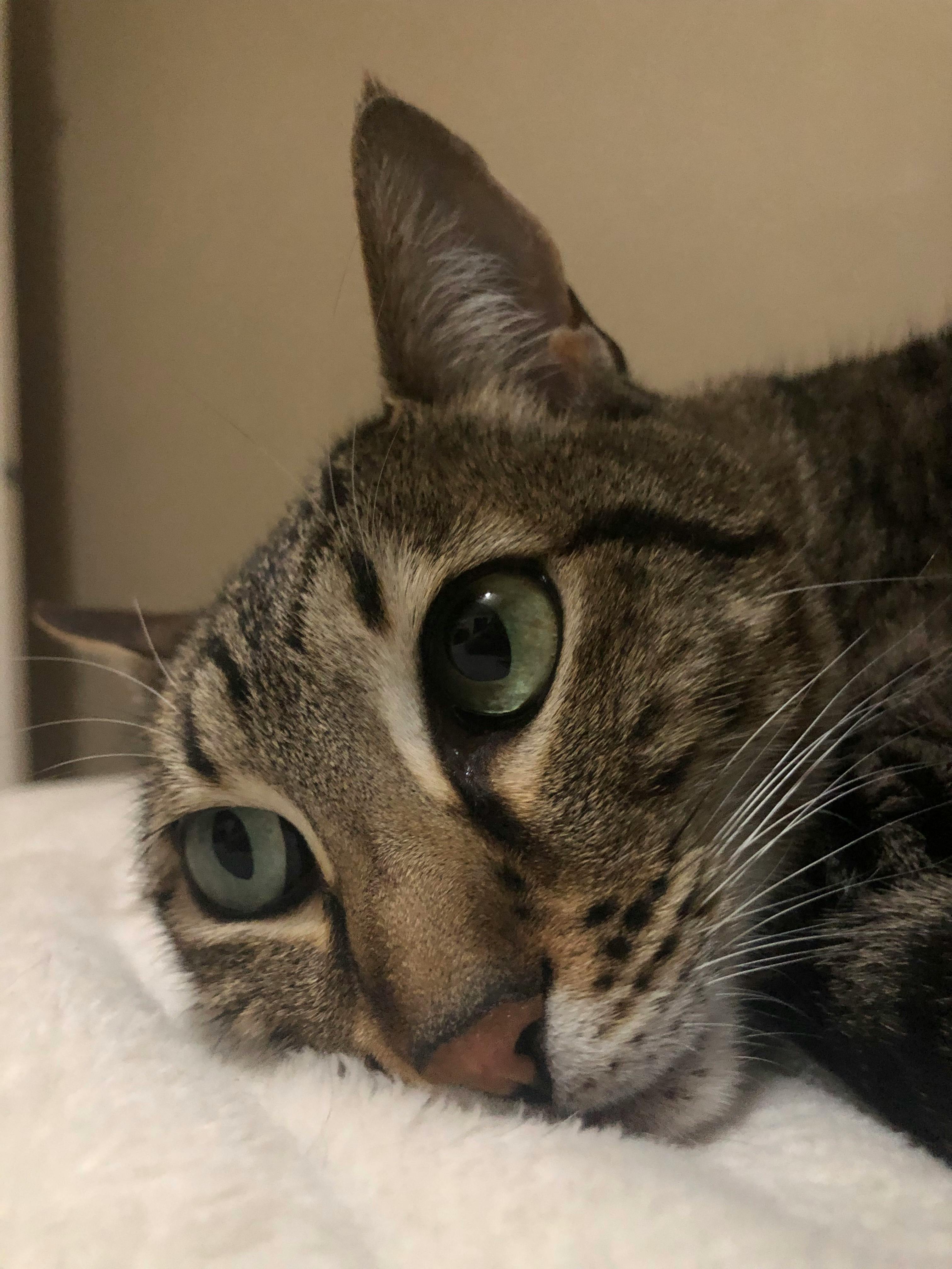 user avatar image for Greyson (EarlGreyTeaTime)