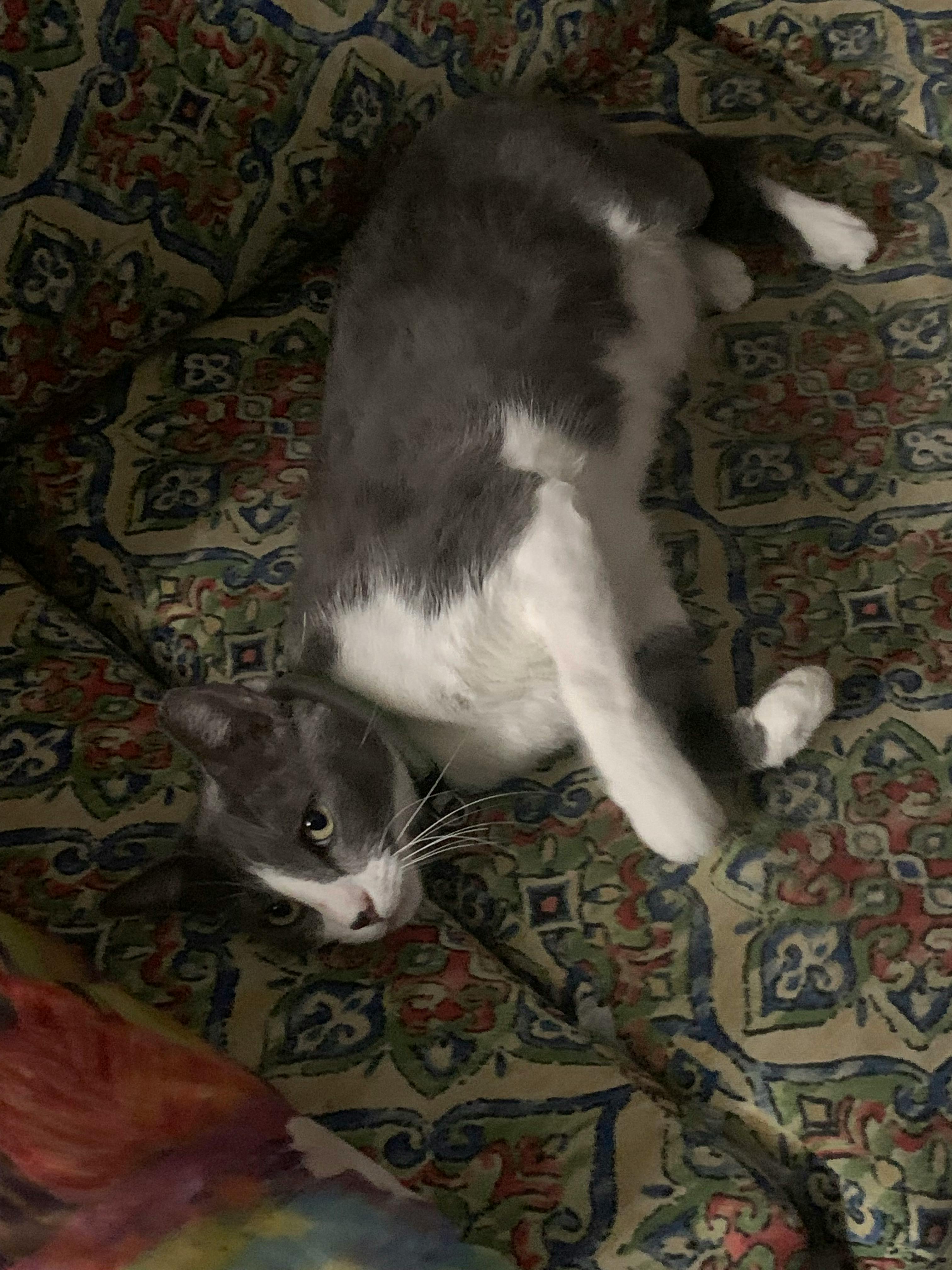 user avatar image for Tatiana Ortiz