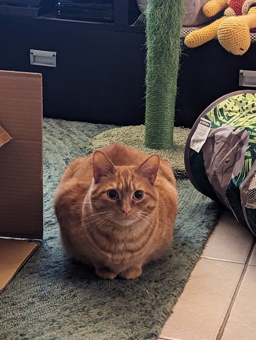 user avatar image for David O'Connell