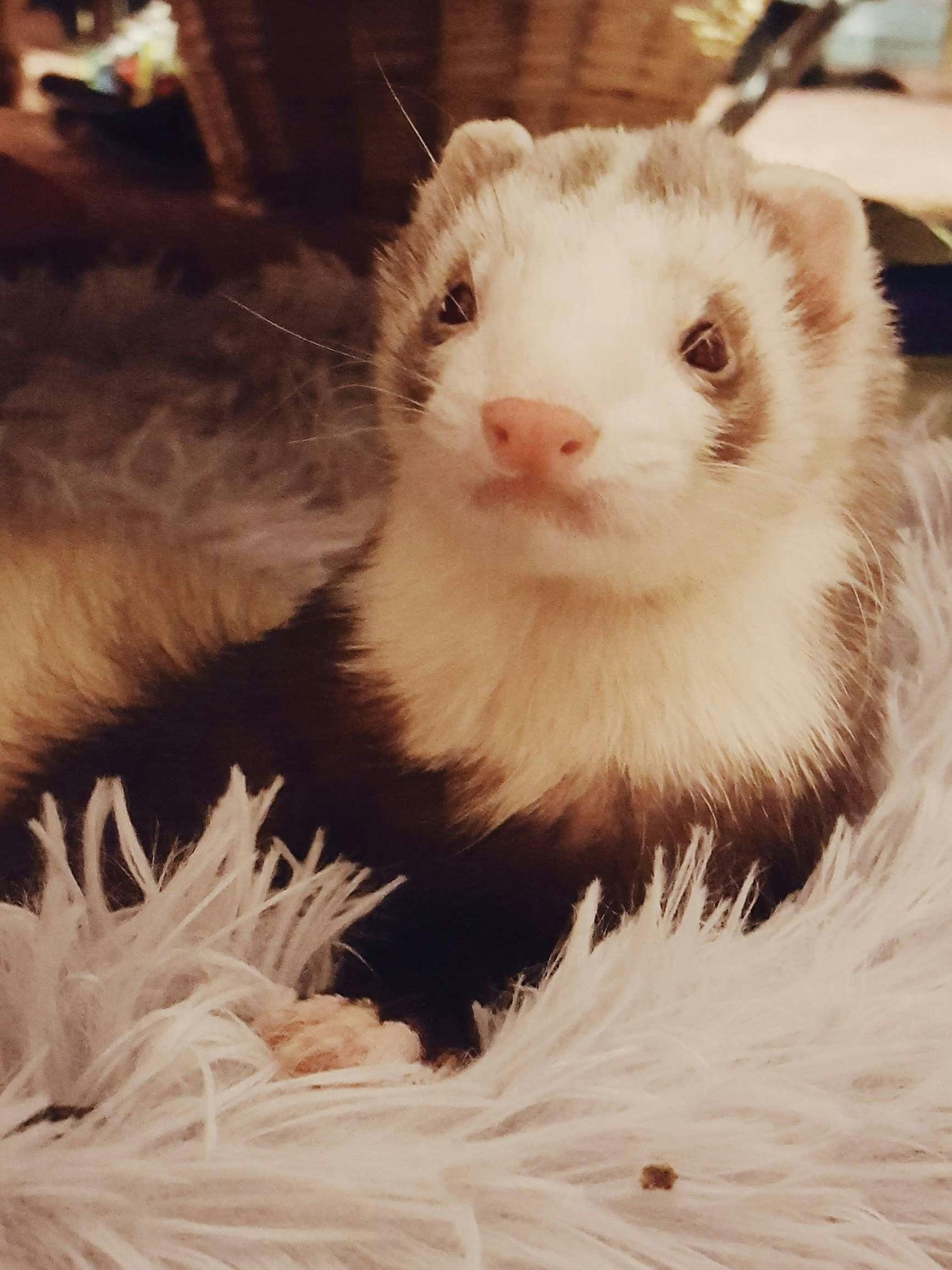 user avatar image for K.F.