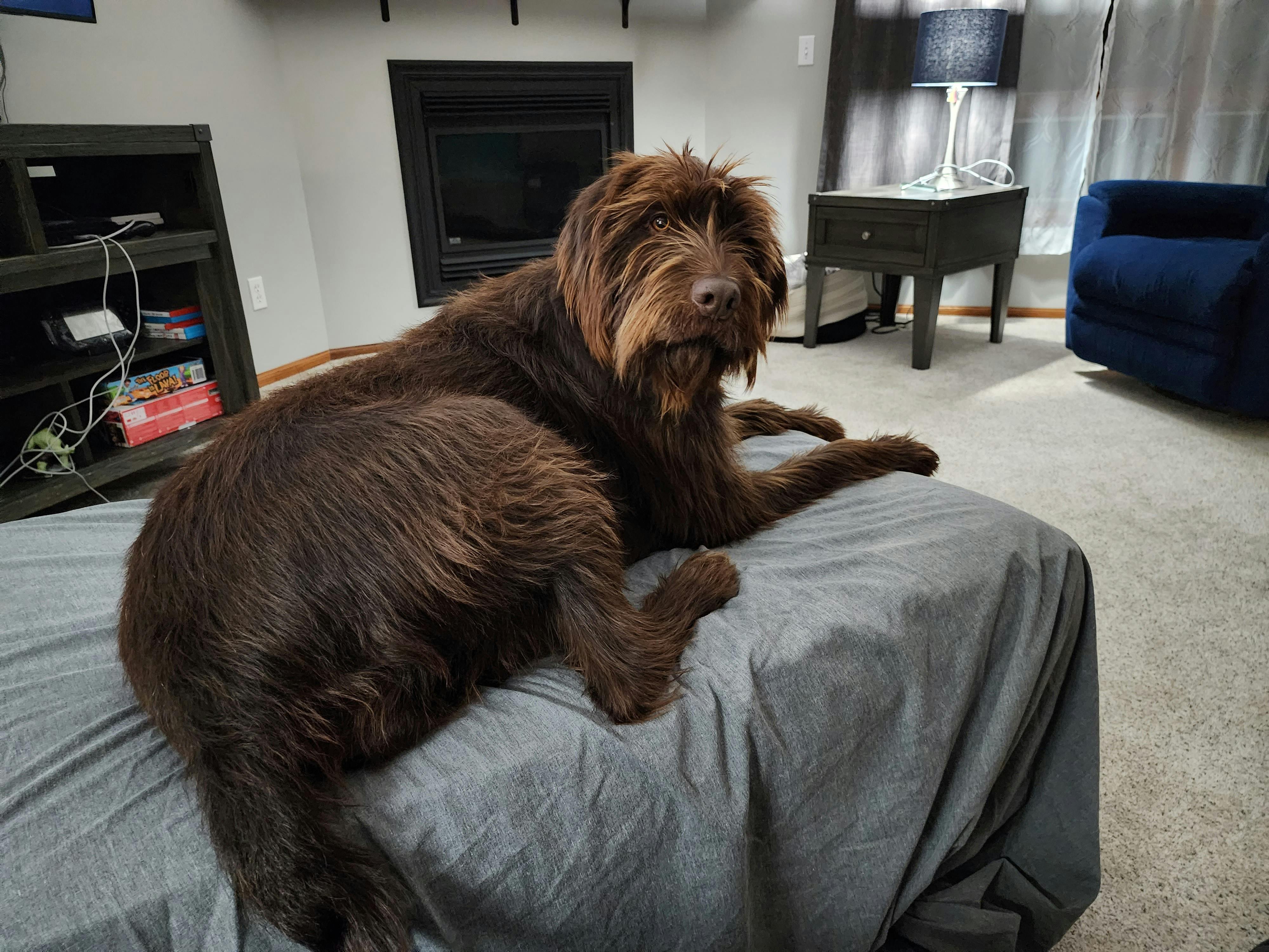 user avatar image for Ali Glidden