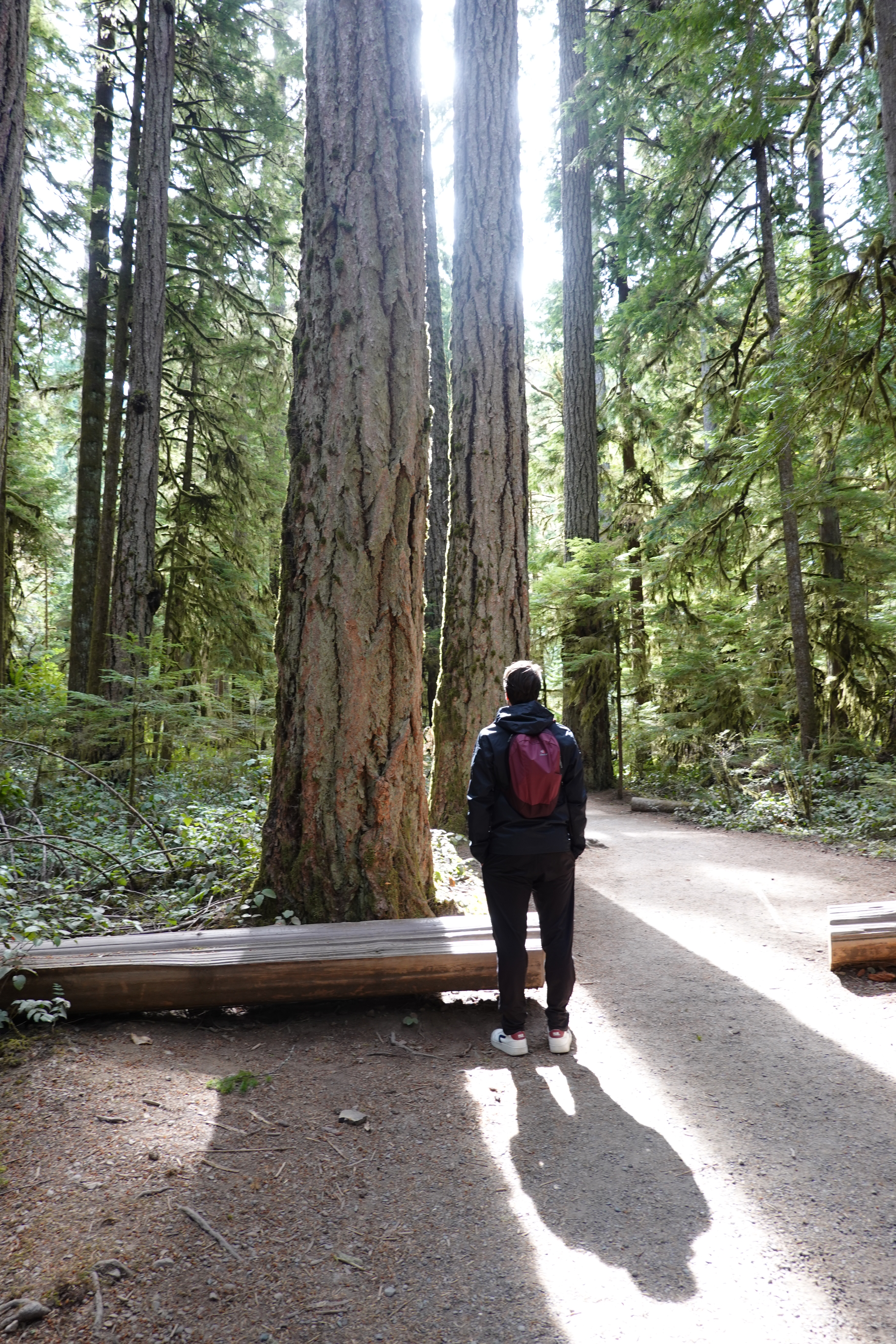 user avatar image for Tim