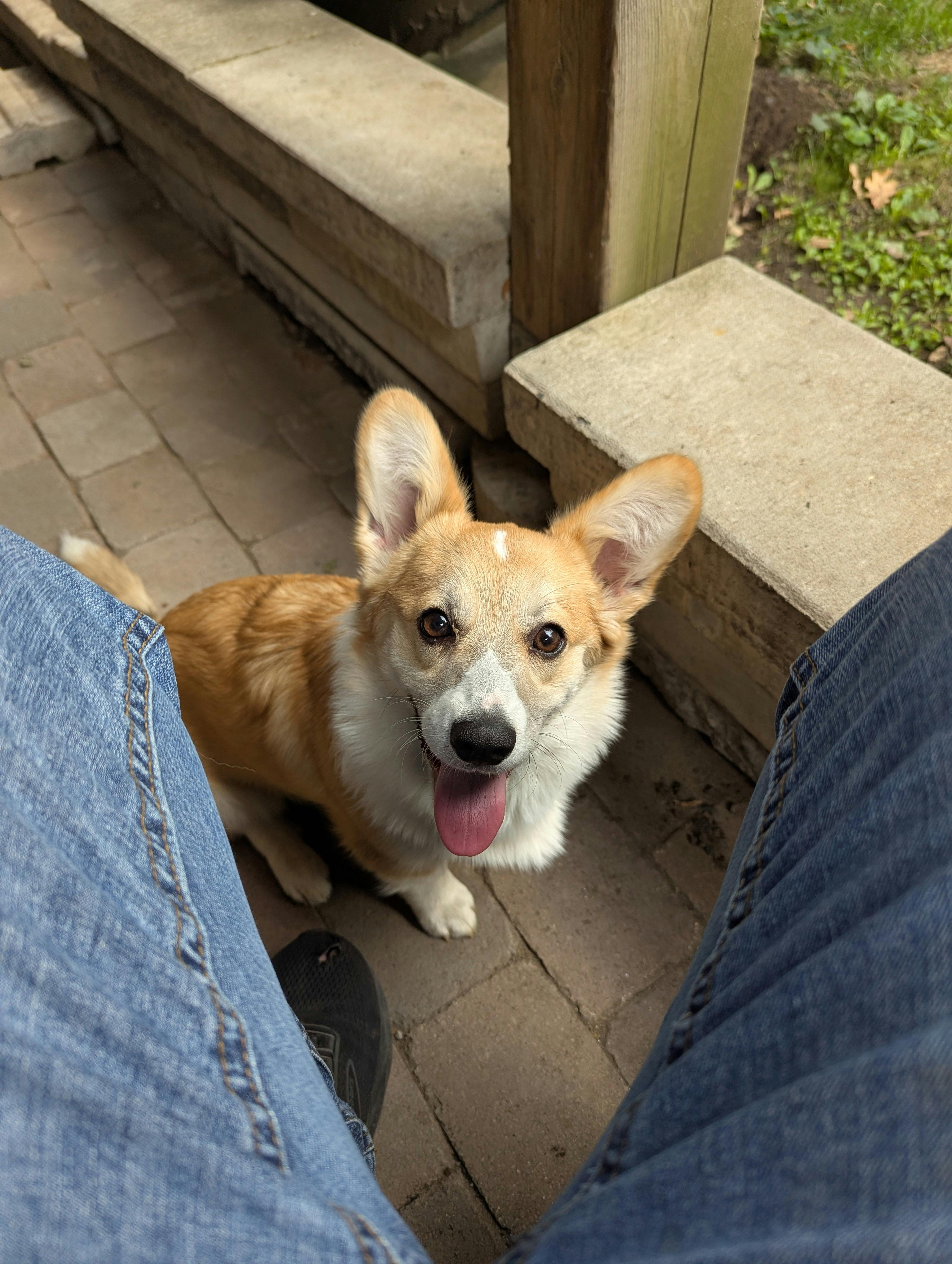 user avatar image for Hugo Brisson