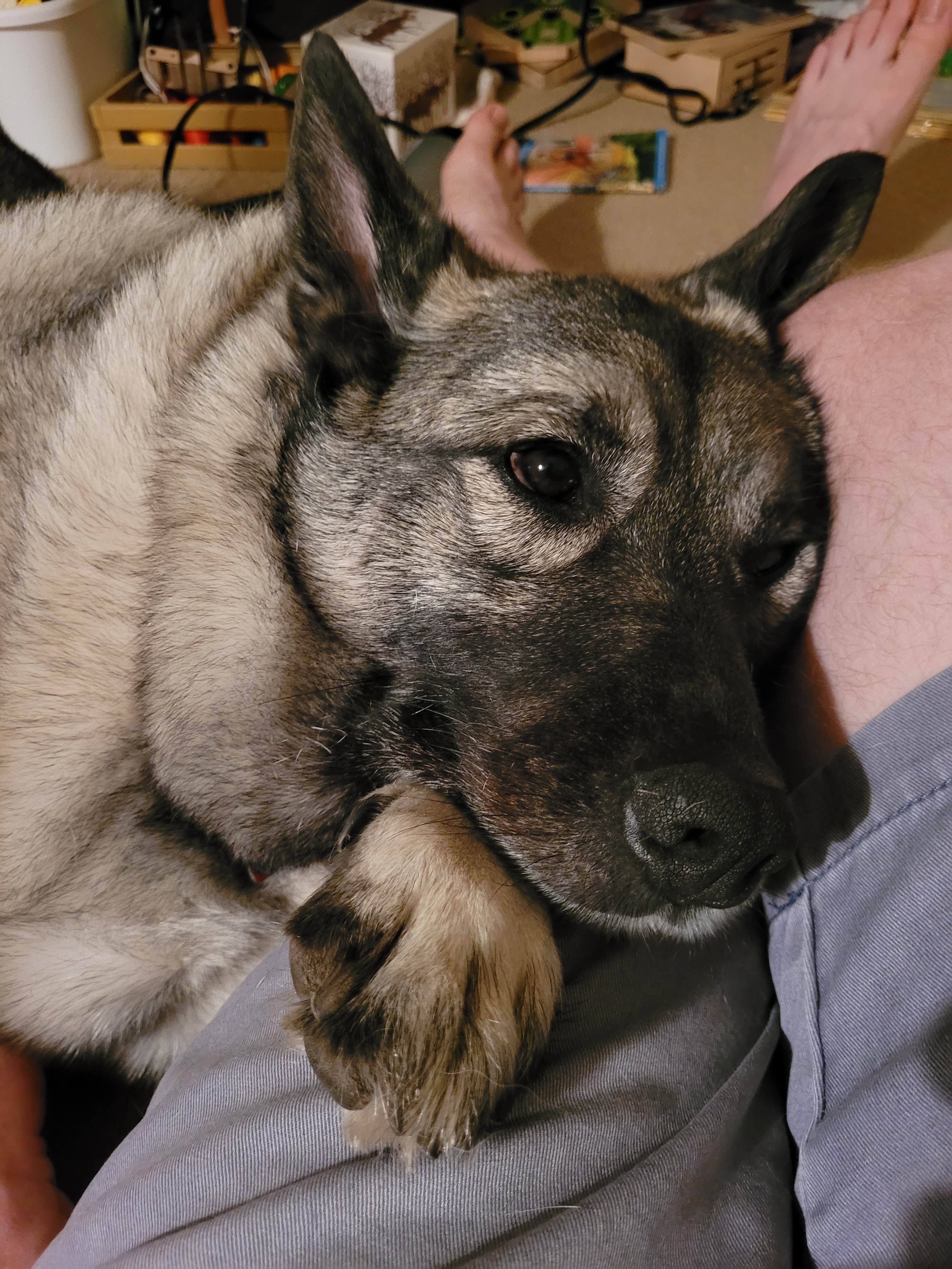 user avatar image for Drew Stewart