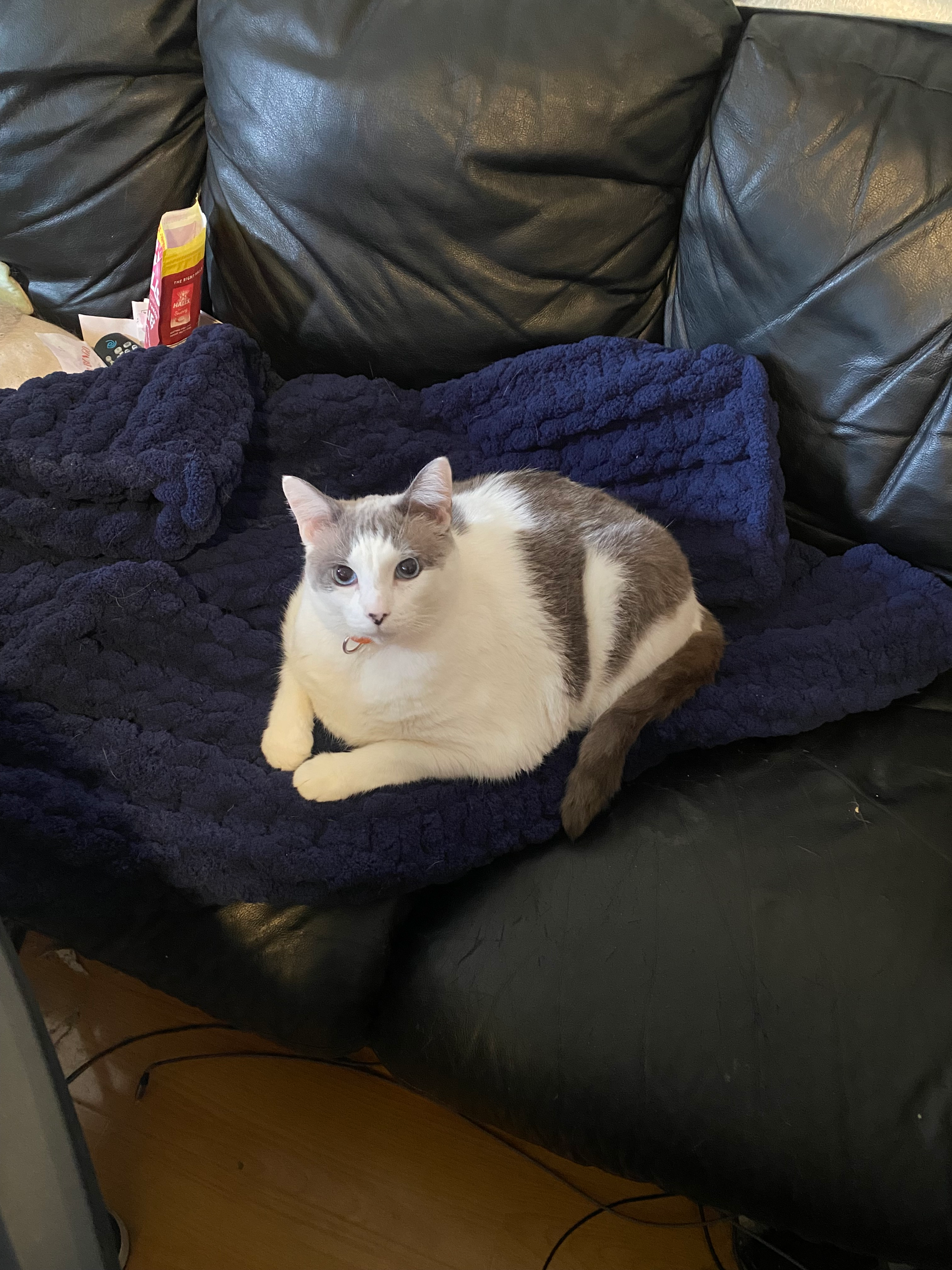 user avatar image for Jim W