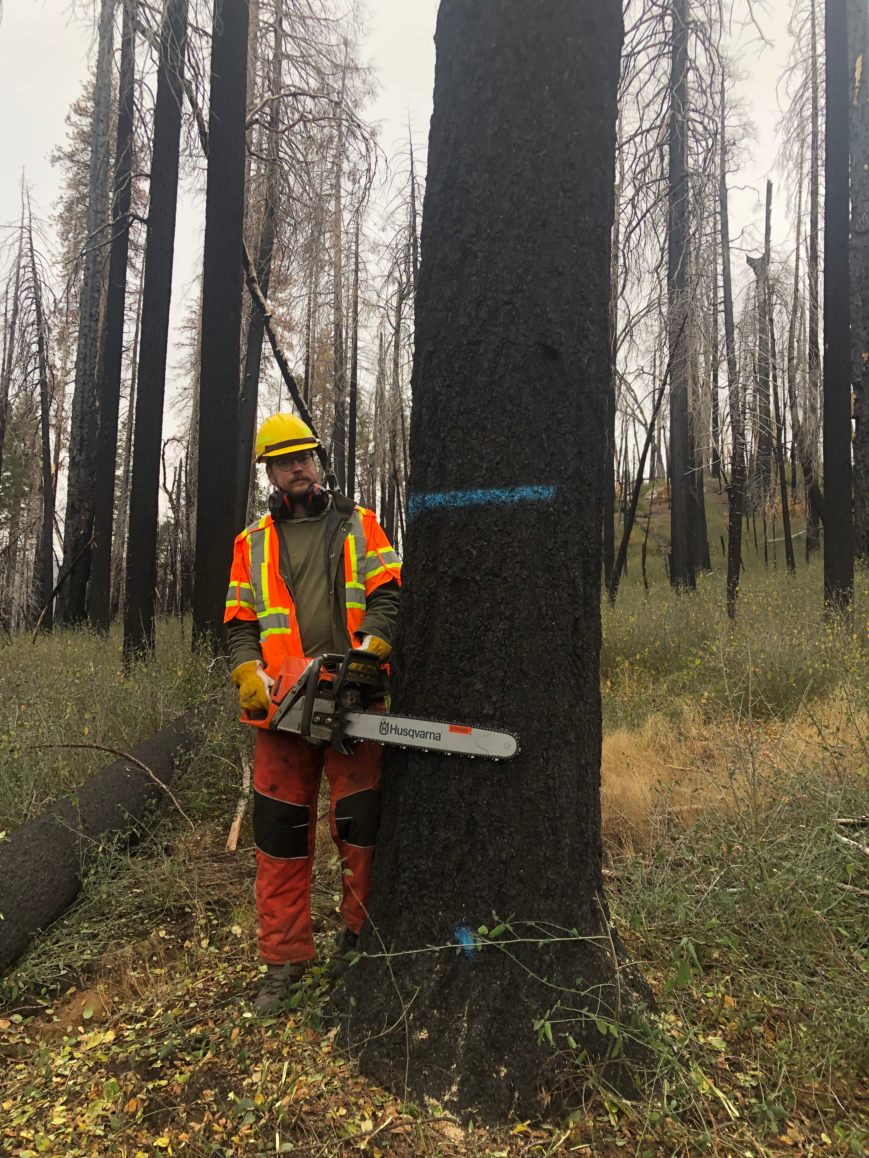 user avatar image for Jacob McNamara