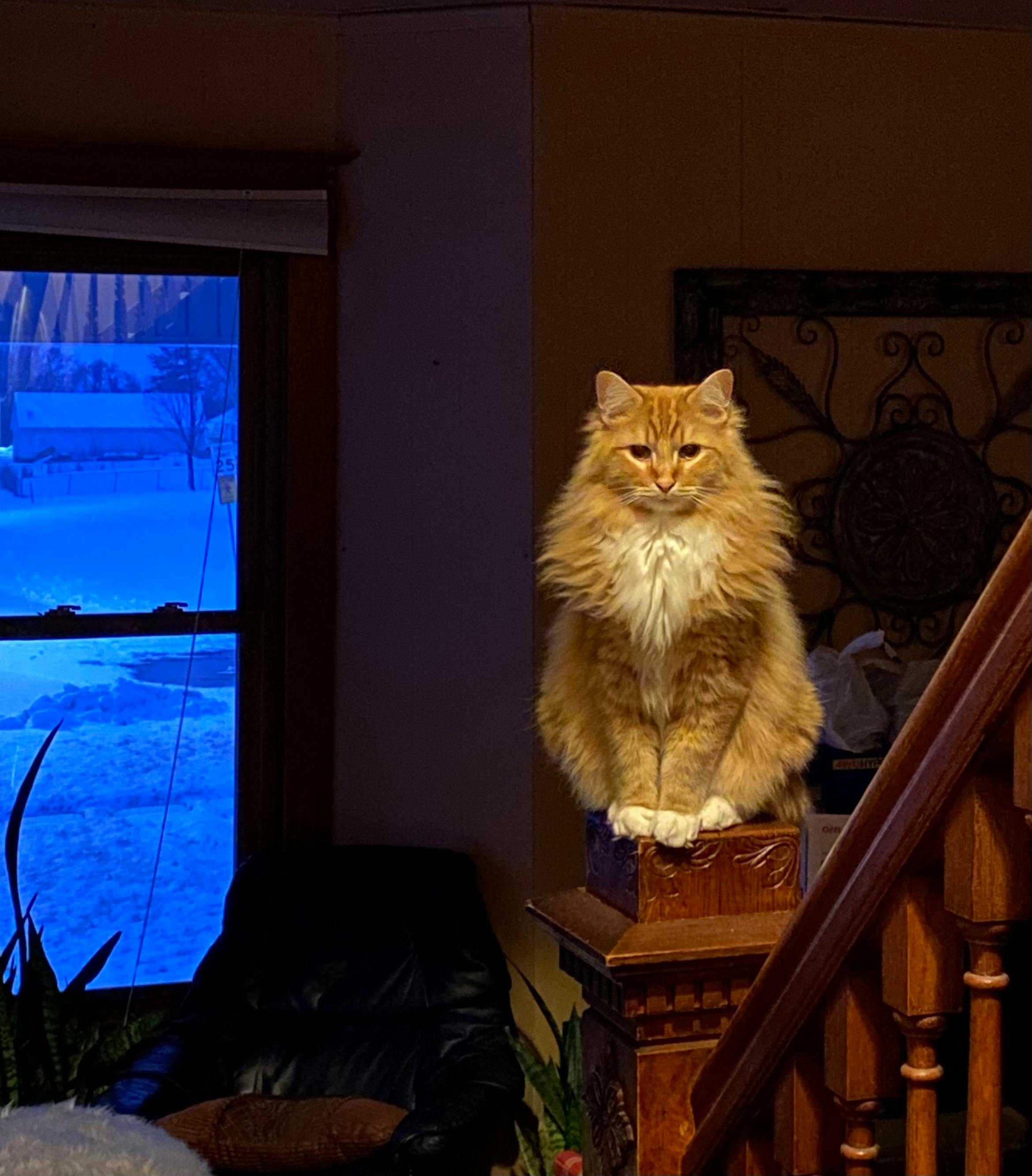 user avatar image for Zetsu