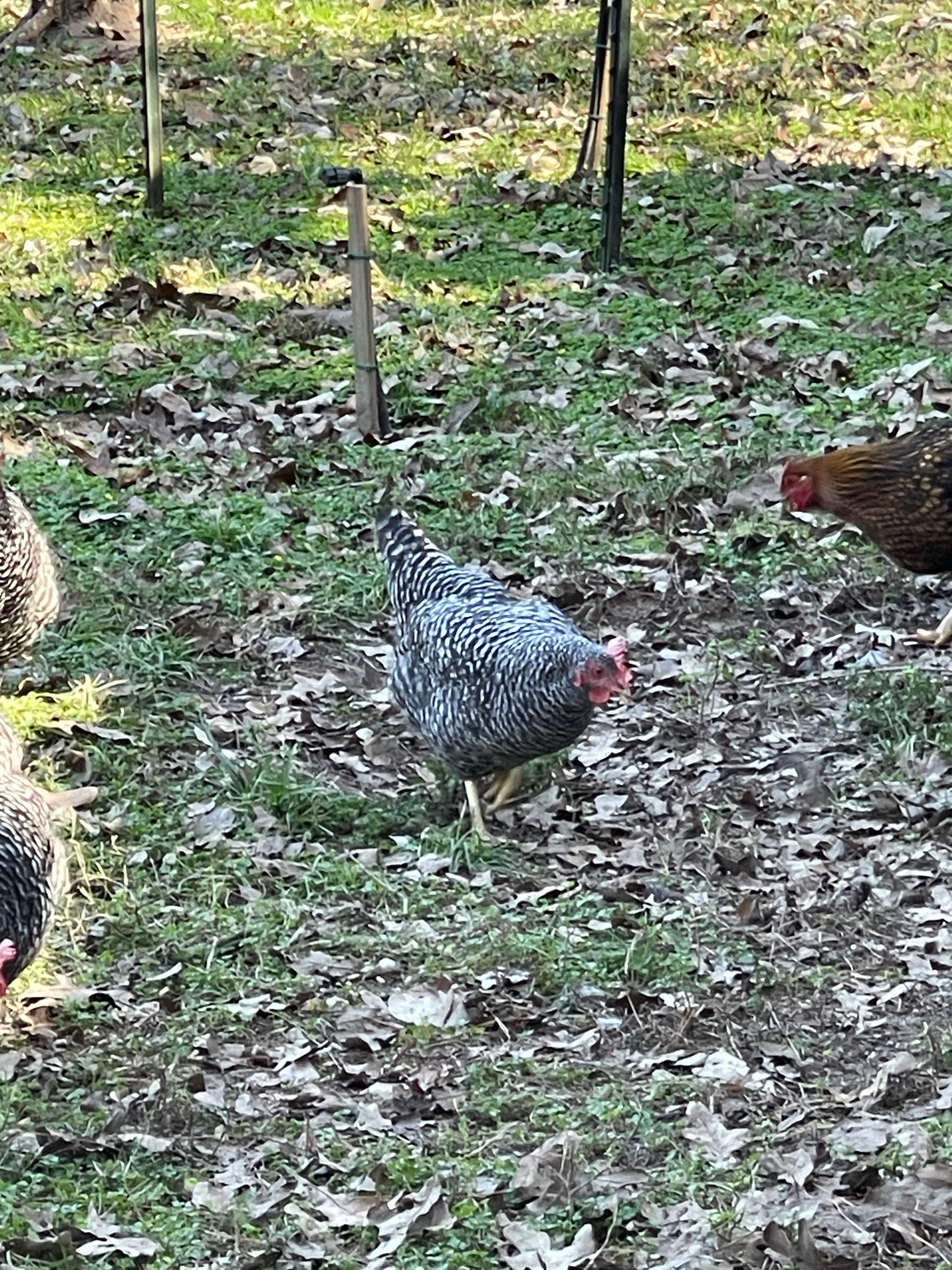 user avatar image for Sarah Trout