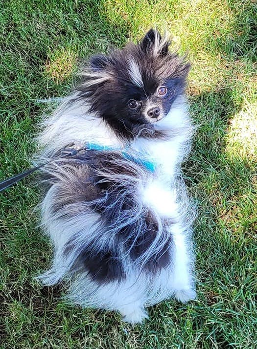 user avatar image for Jolene Denman