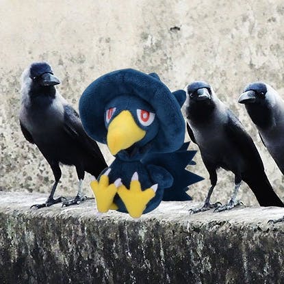 user avatar image for Crowbold