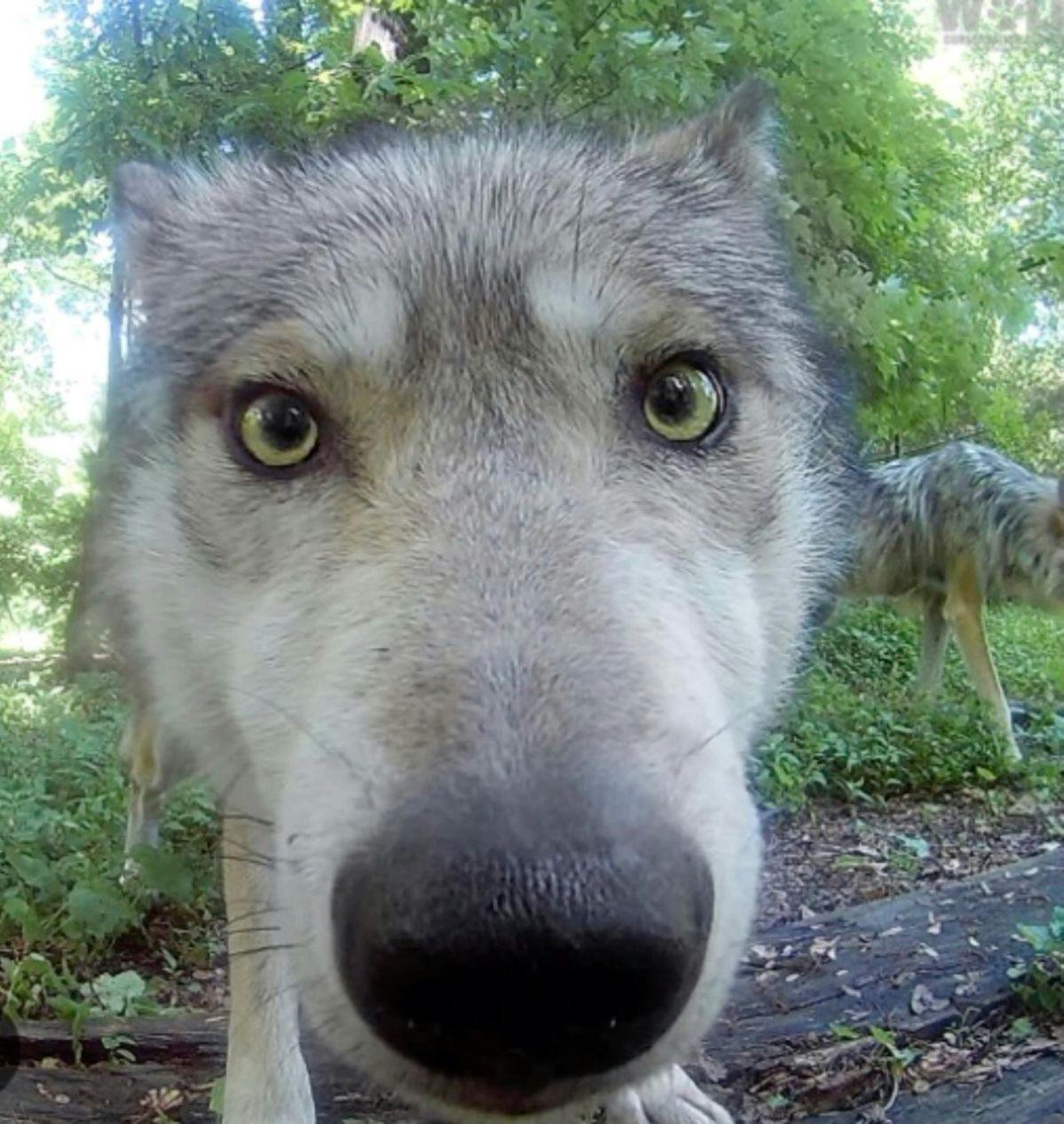 user avatar image for Cecil