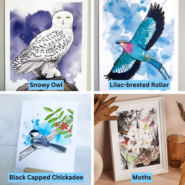 a grid of four prints created from illustrations by Loadofolbobbins. Clockwise from top left they show a snowy owl, a lilac-brested roller, moths and a black capped chickadee.