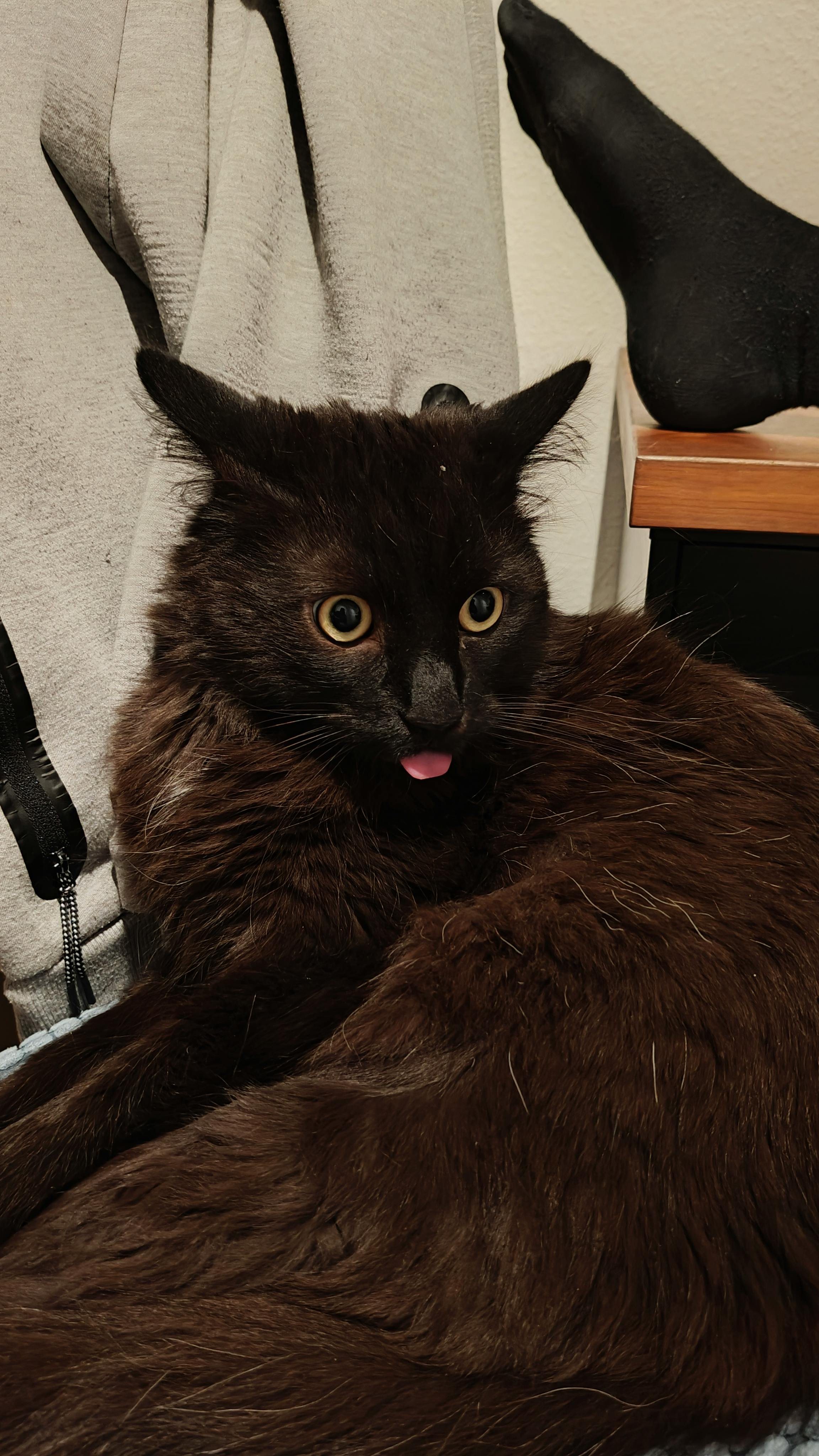 user avatar image for Jeroen