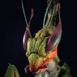 user avatar image for Greymane