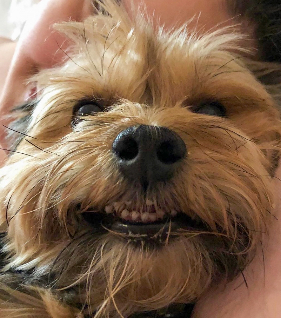 user avatar image for Ashley