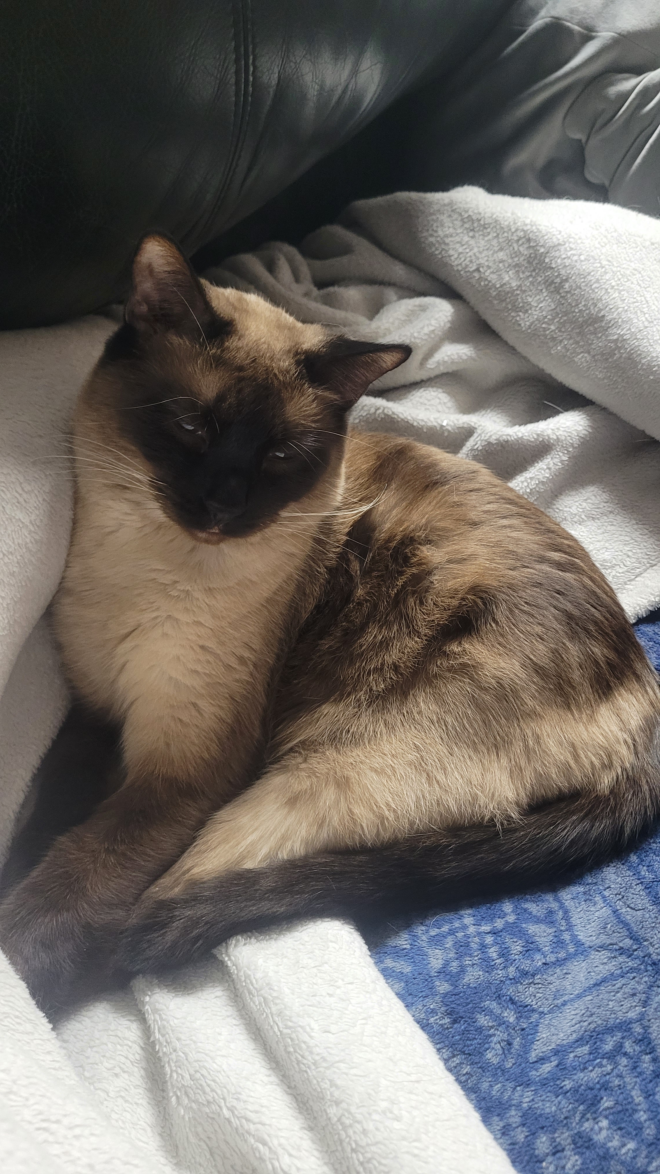 user avatar image for Joel