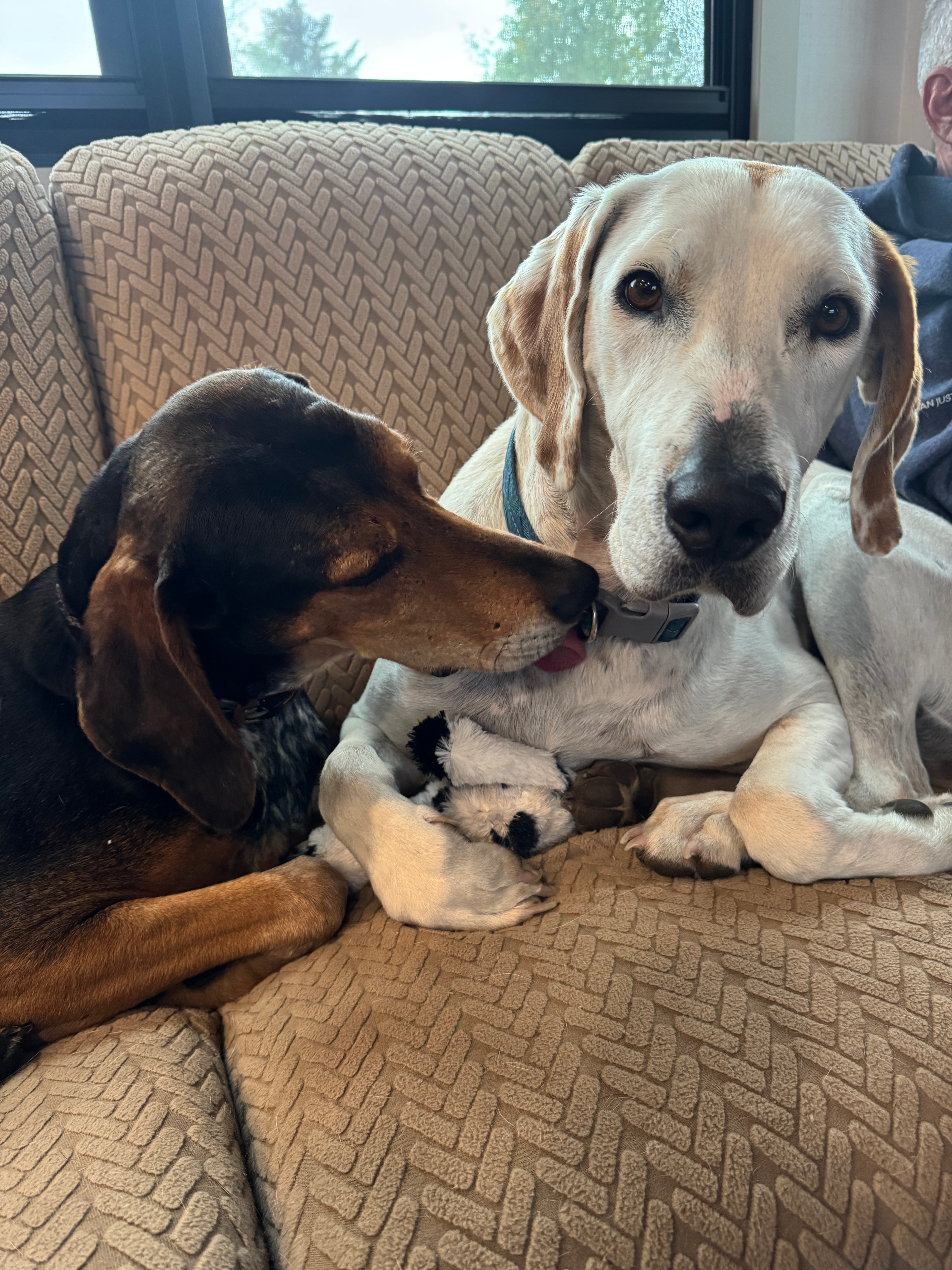 user avatar image for Dawn Conniff