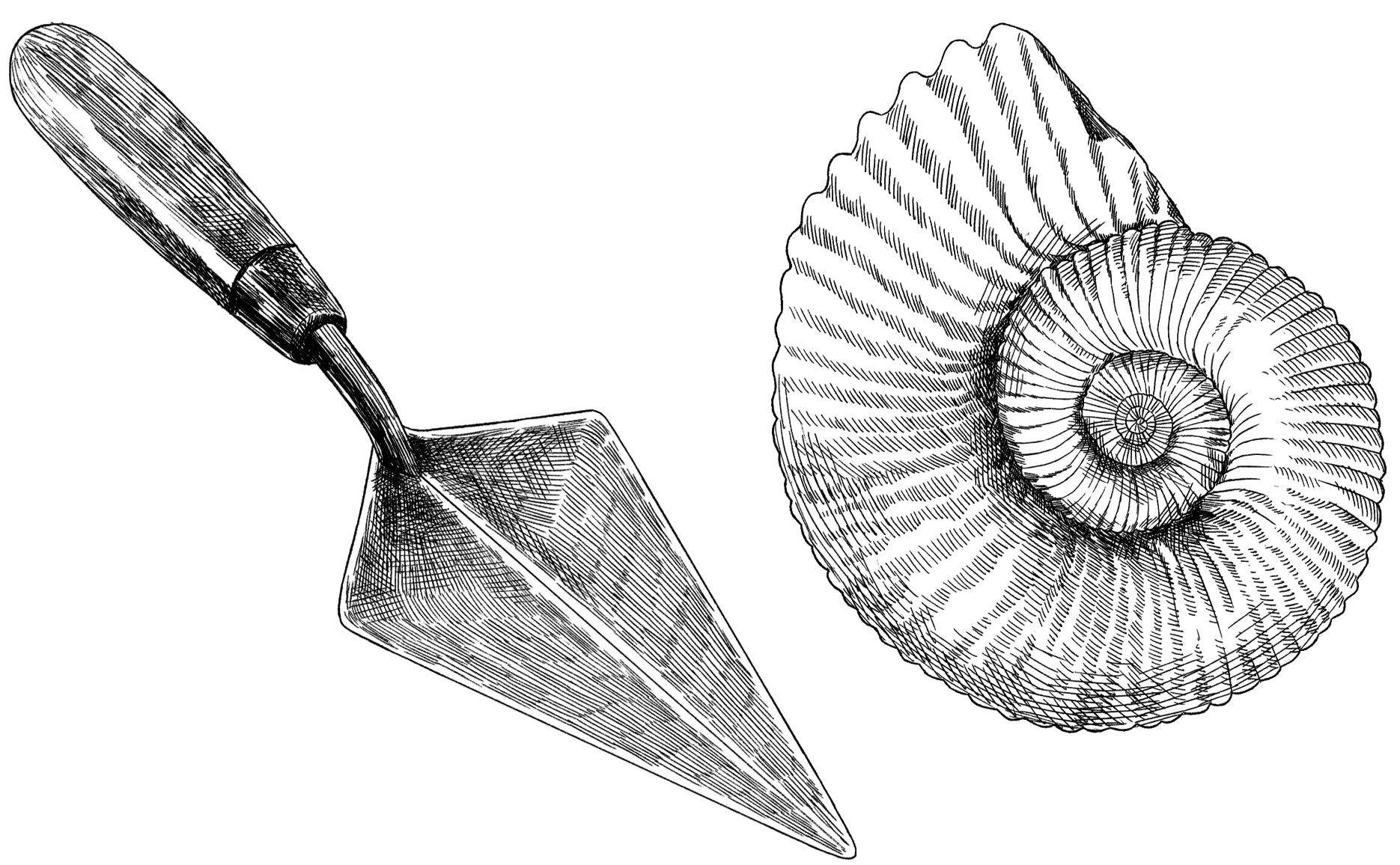 A digital illustration of a trowel and an ammonite fossil, both are black and white and messily shaded as if drawn in pen and ink 