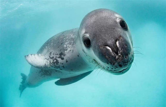 user avatar image for Rex