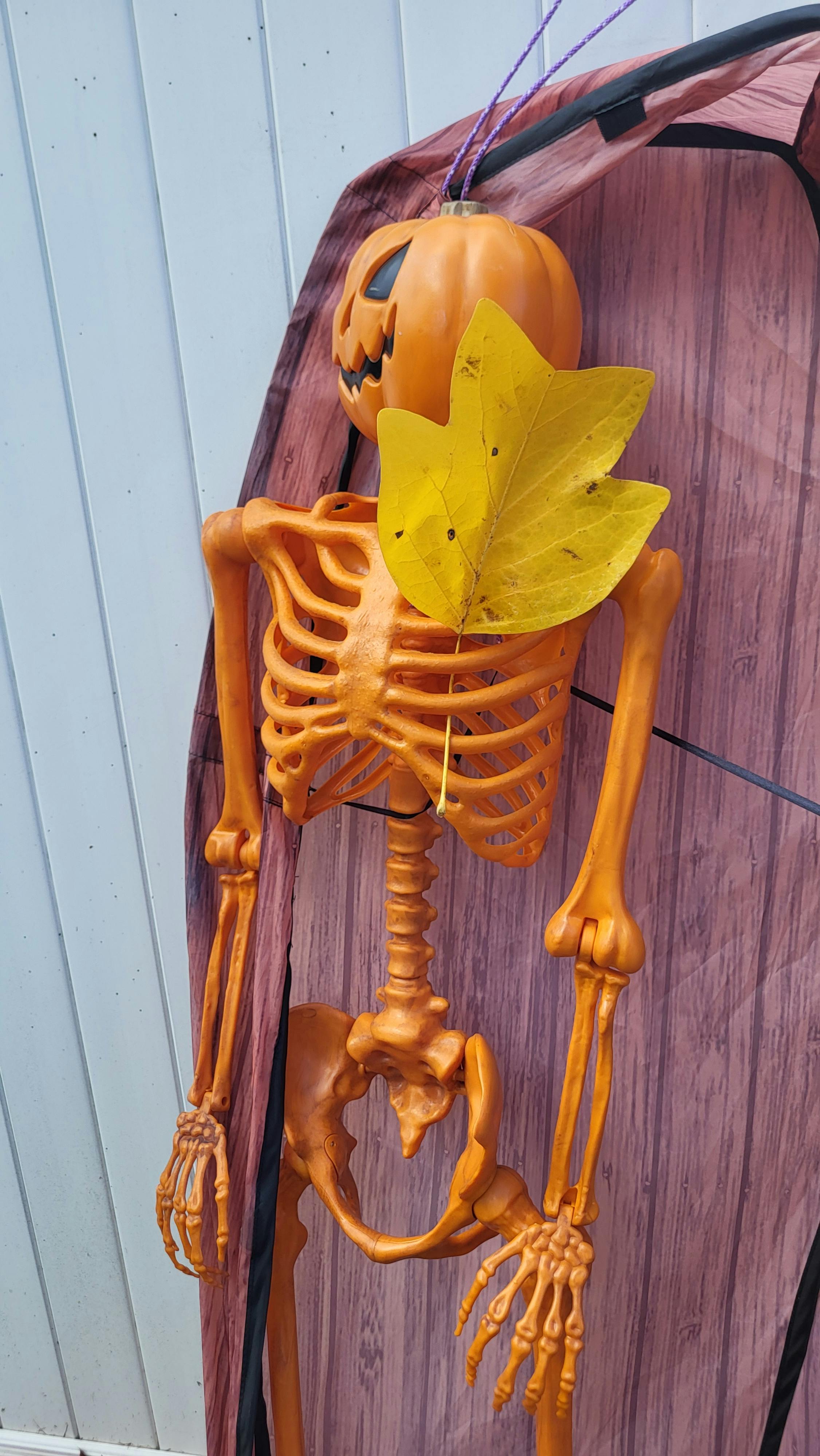 user avatar image for Steve