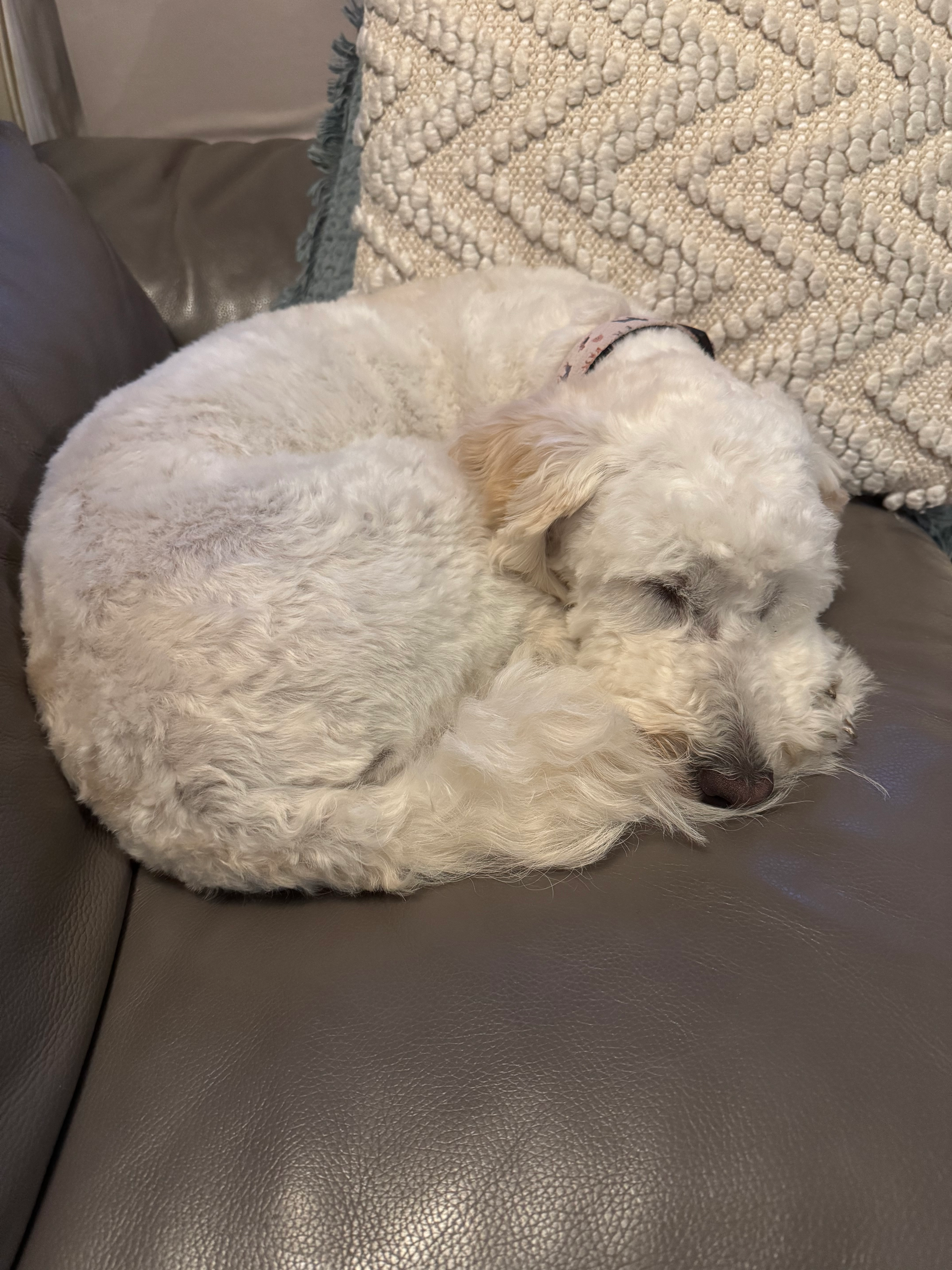 user avatar image for Vix24