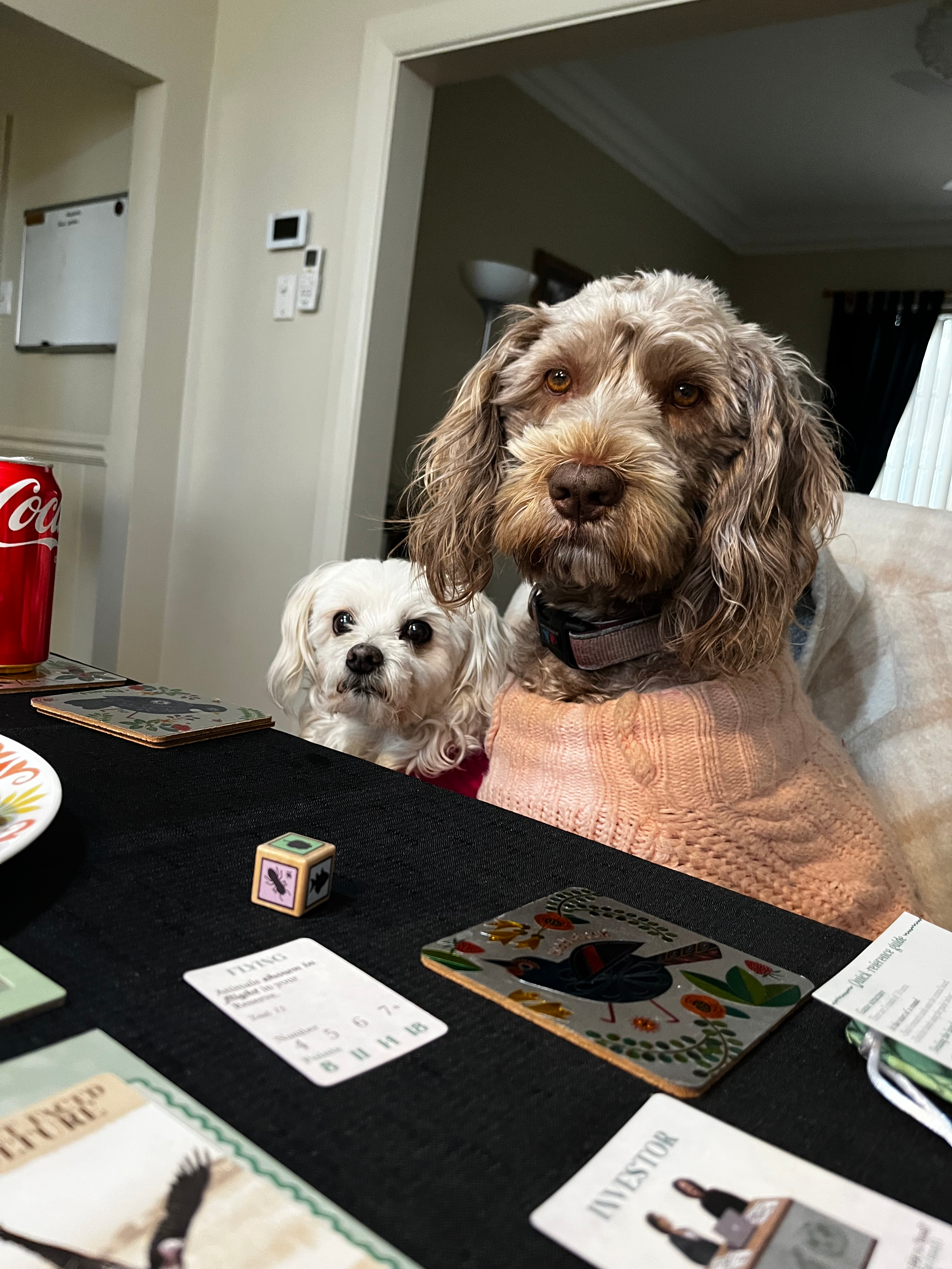 user avatar image for Michelle Murphy