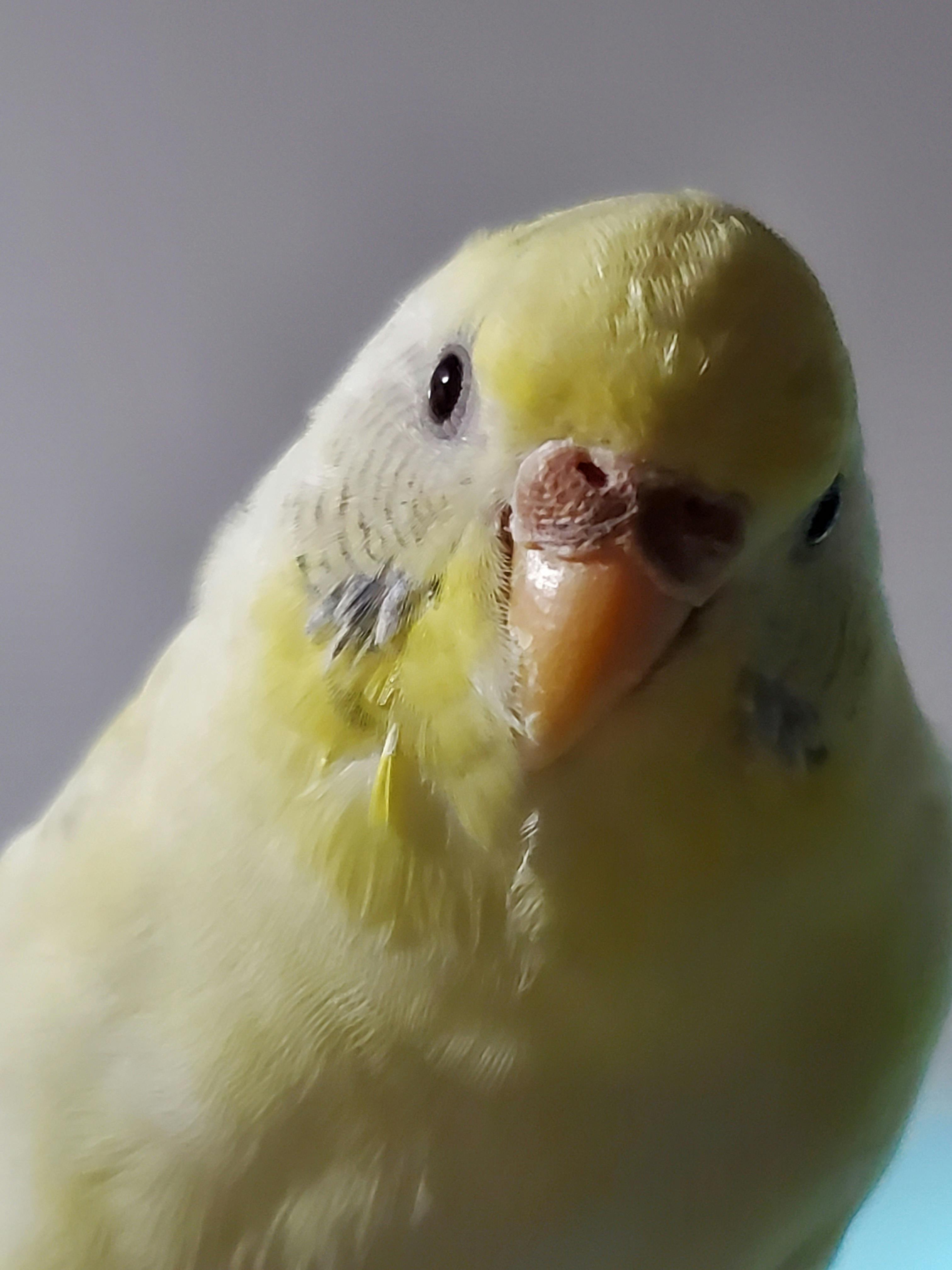 user avatar image for Chelsea