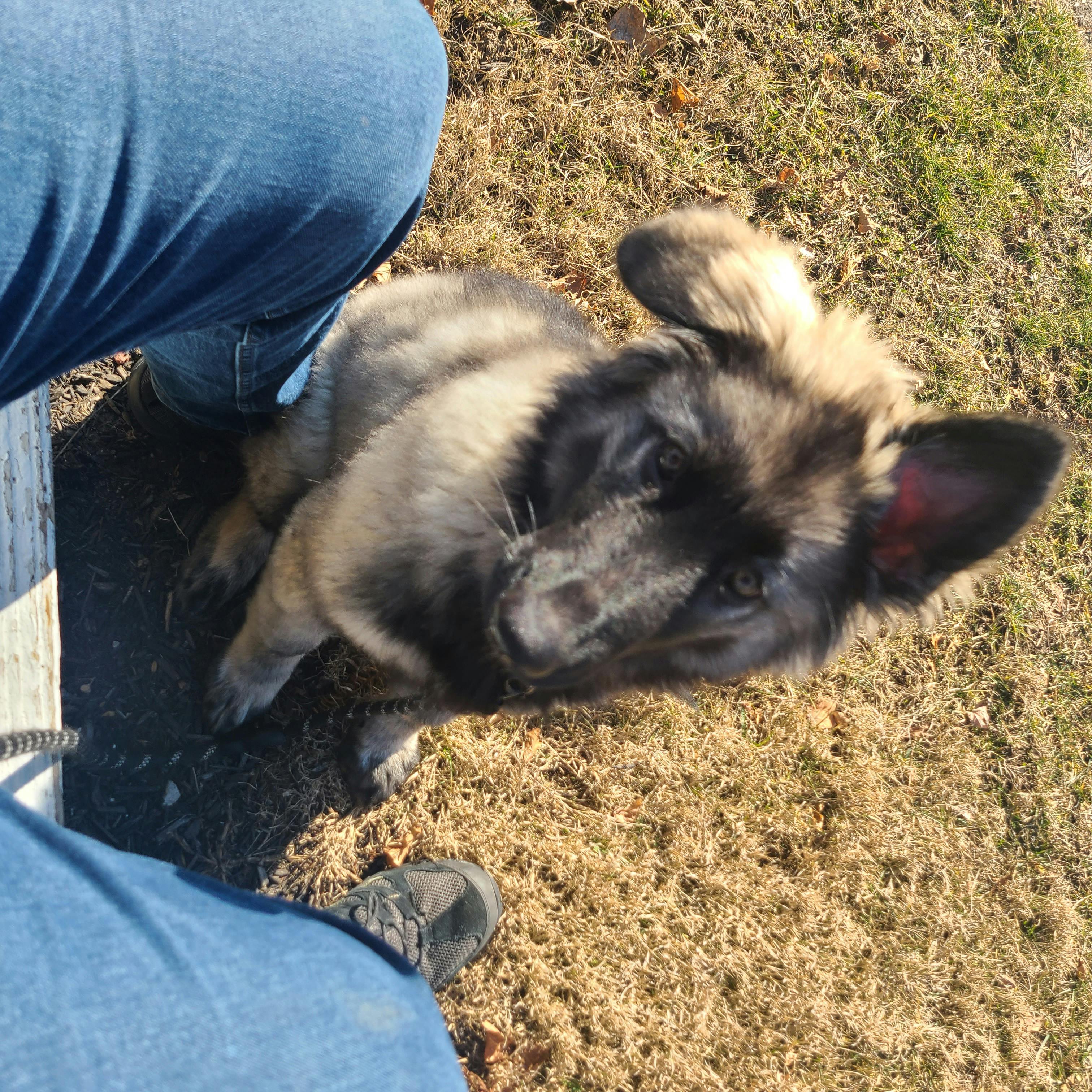 user avatar image for Brandon O'Bryan