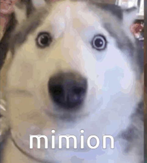user avatar image for Merlin