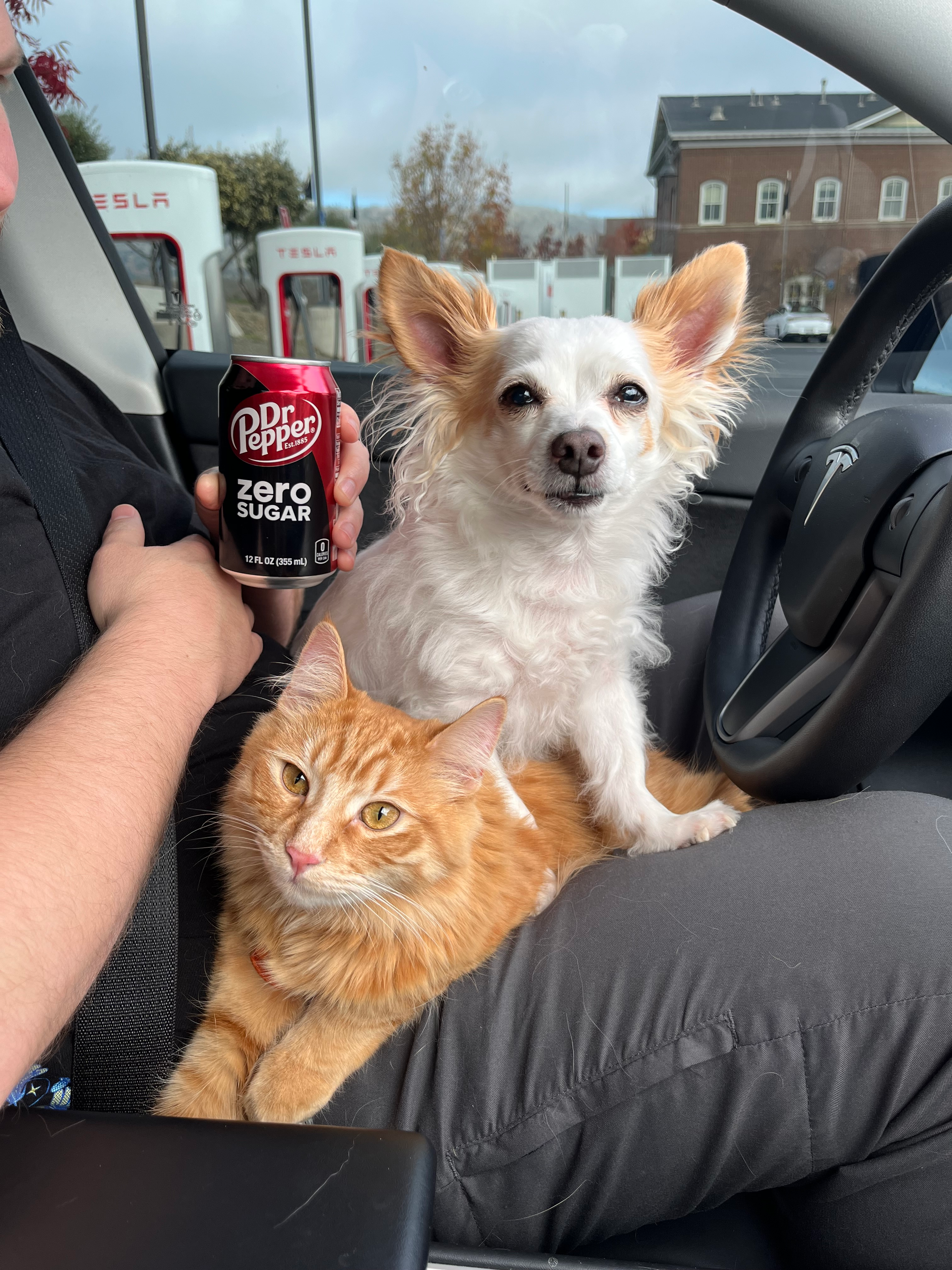 user avatar image for Amanda