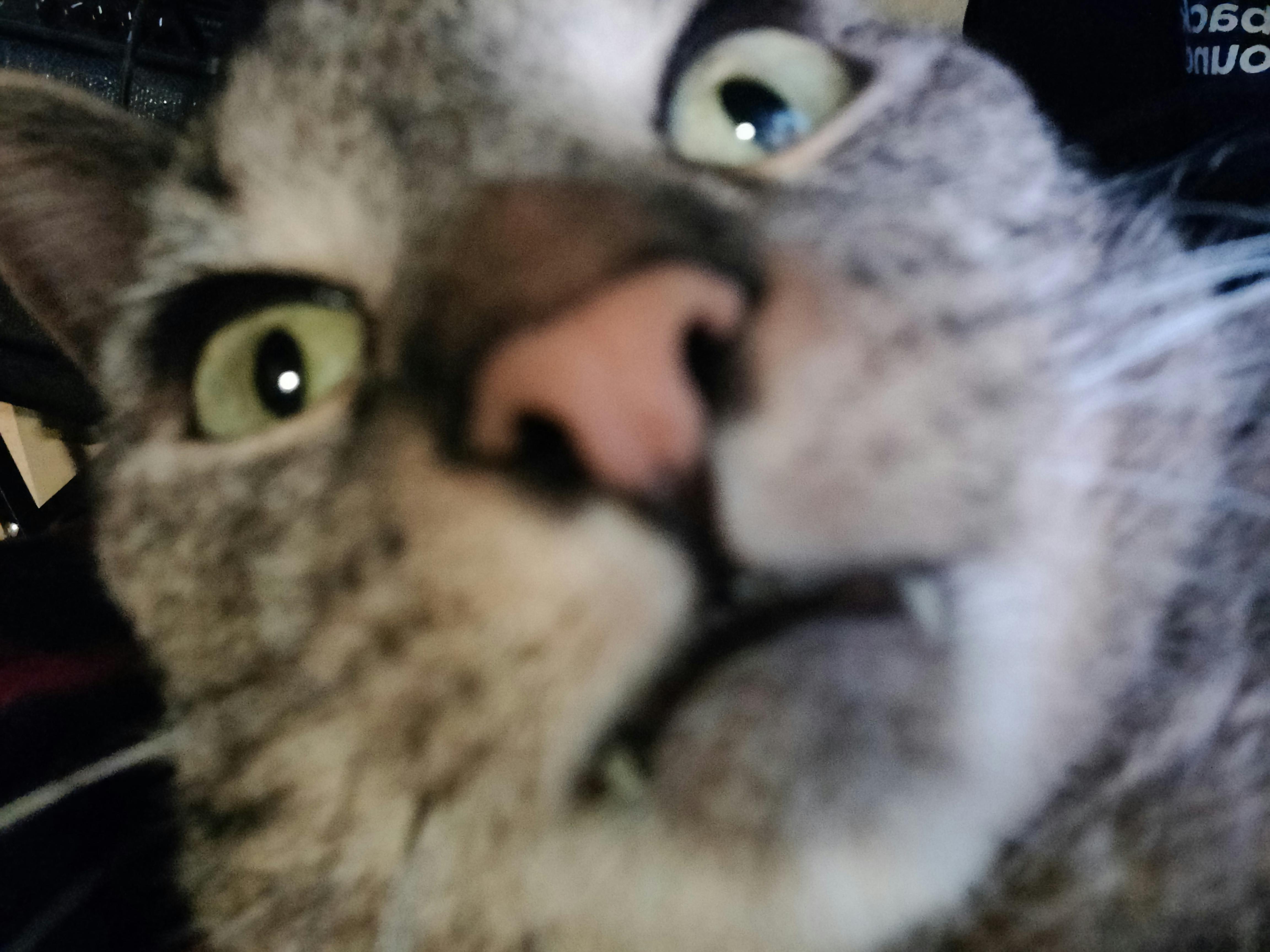 user avatar image for C