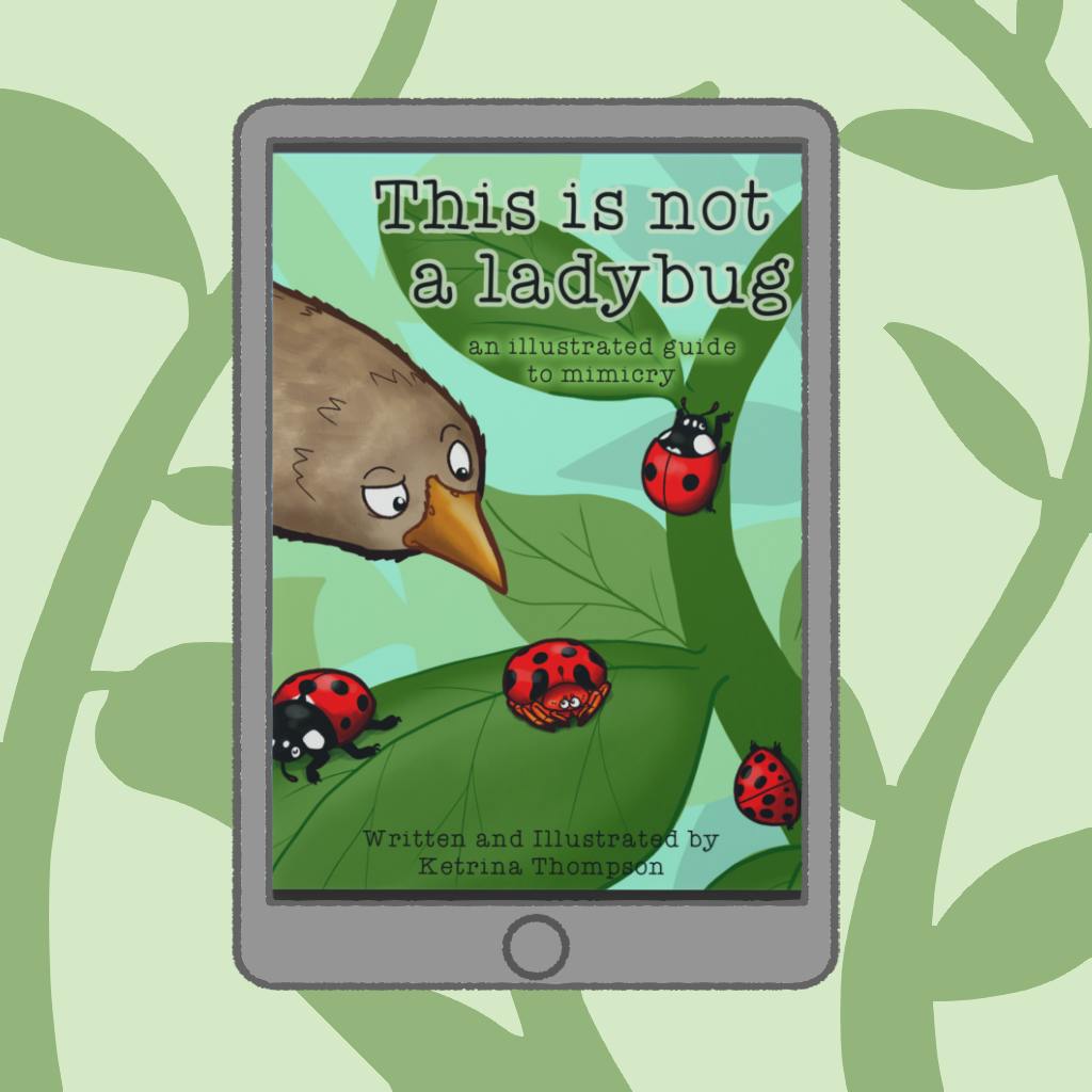 E-book