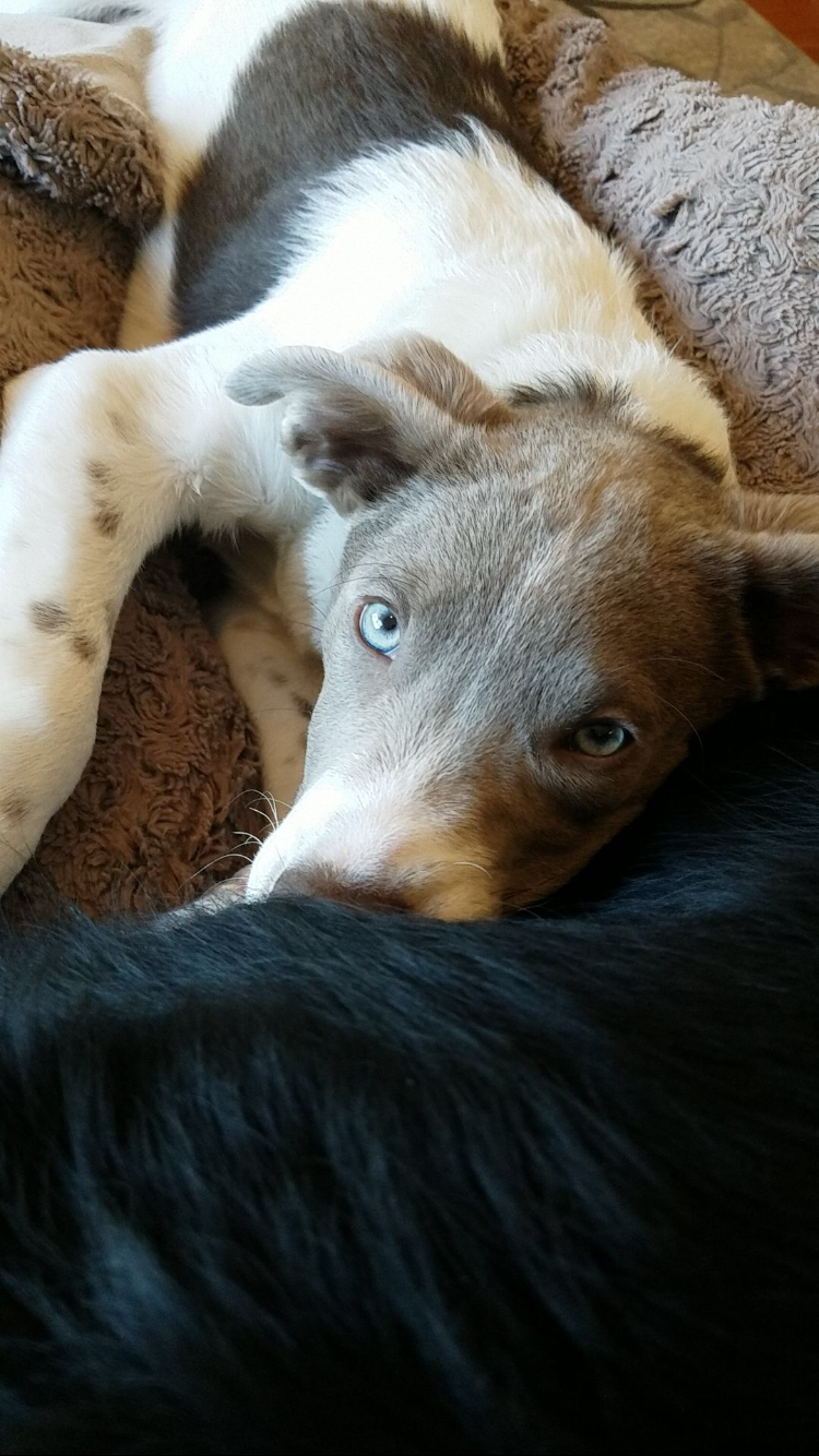 user avatar image for Jon