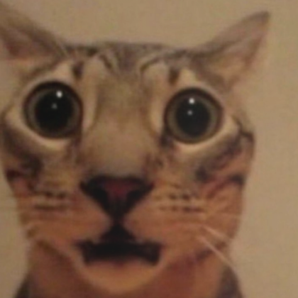 user avatar image for Bawl