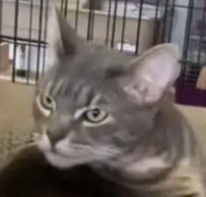 user avatar image for Amy