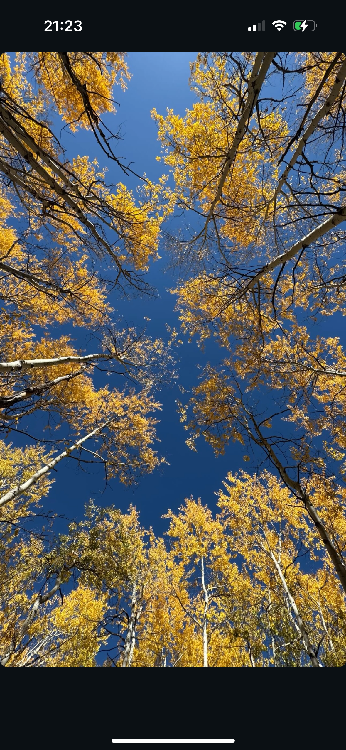 user avatar image for Julia