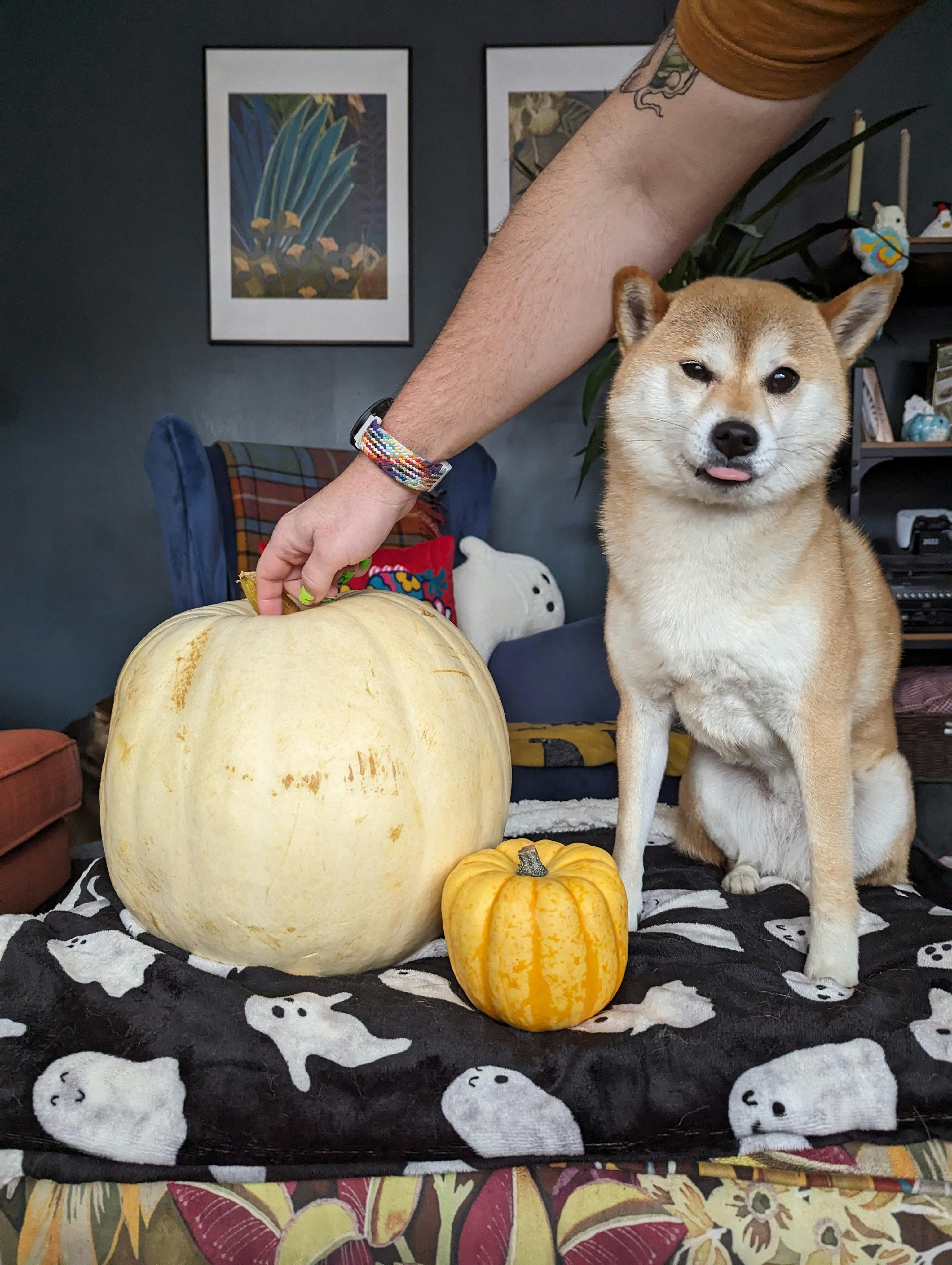 user avatar image for Steven Taarland