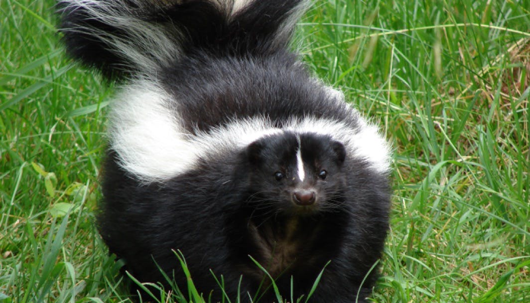 user avatar image for Harley