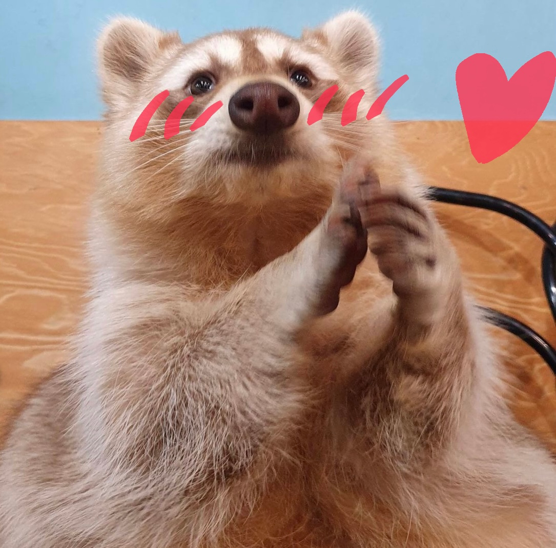 user avatar image for Valentina Venegoni