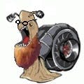 user avatar image for Swifty