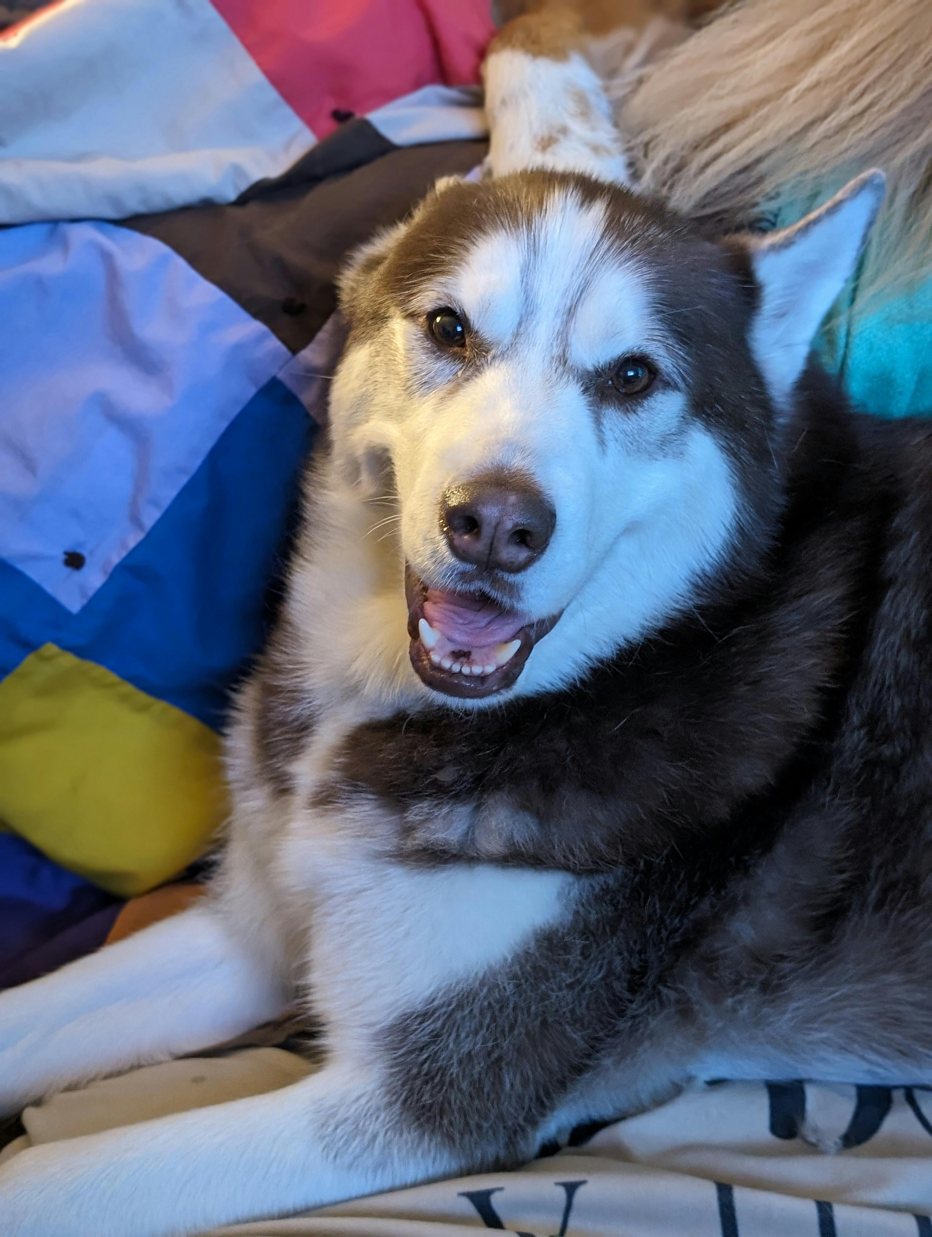 user avatar image for Mike